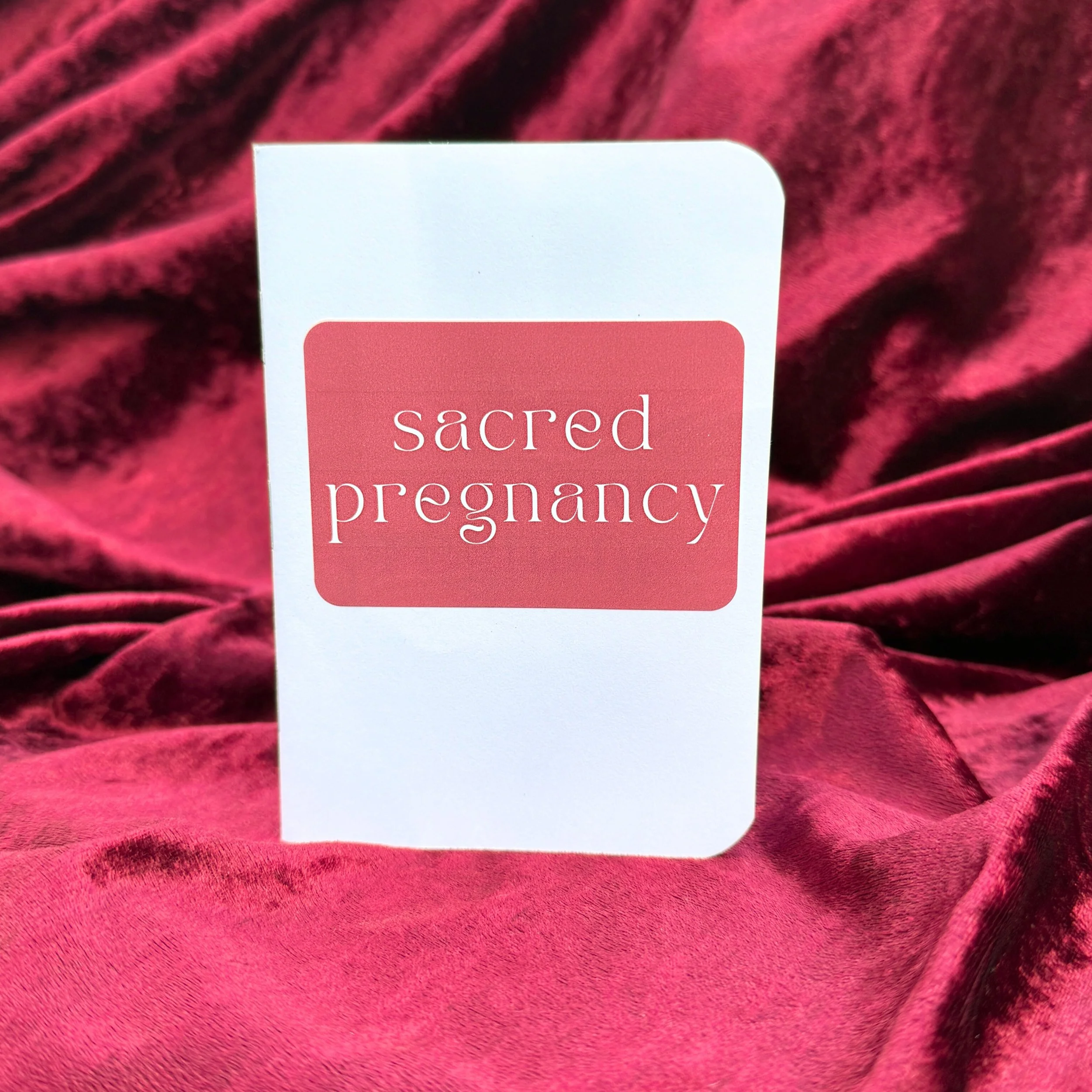 Product shoot edits 1225 - 17.jpeg