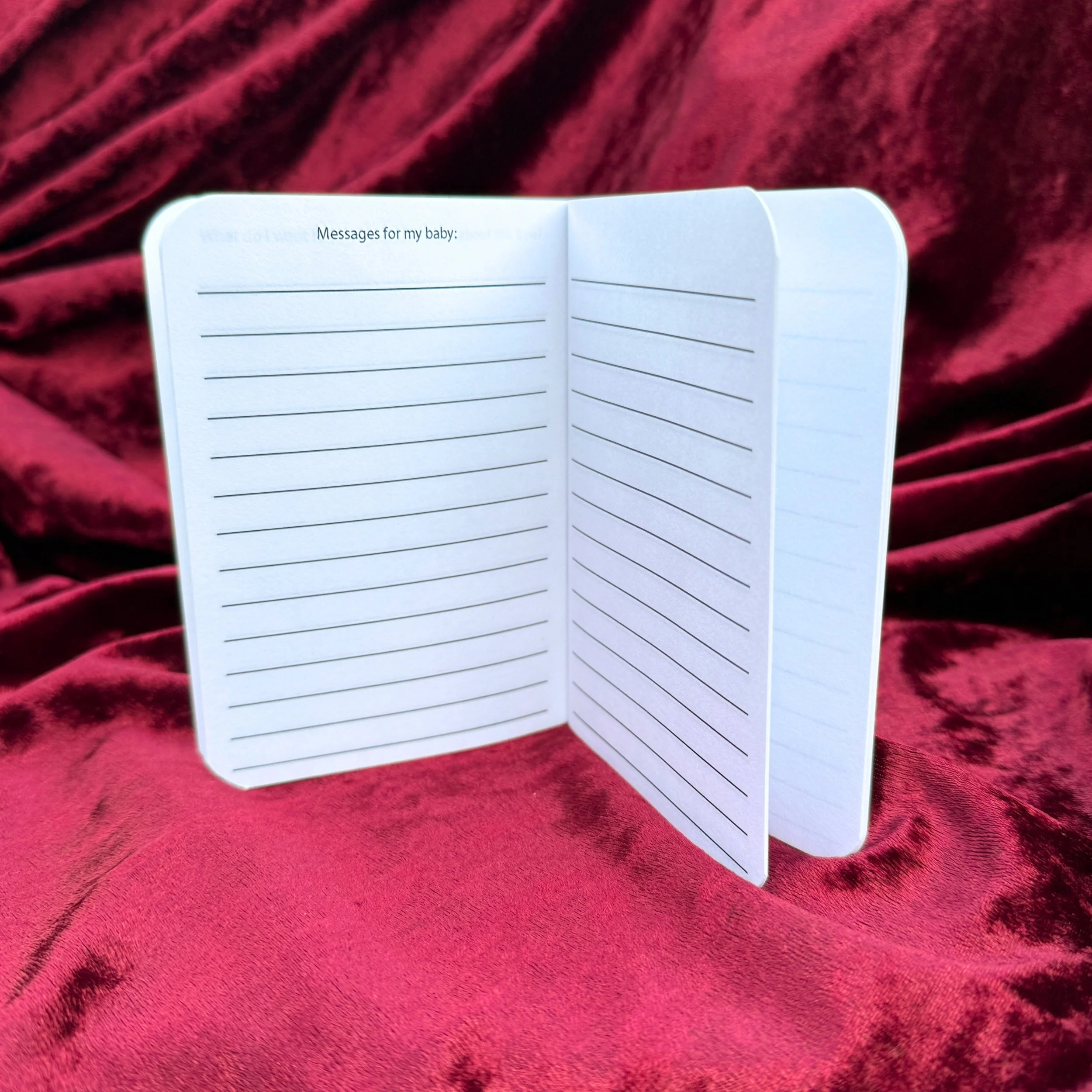 Product shoot edits 1225 - 18.jpeg