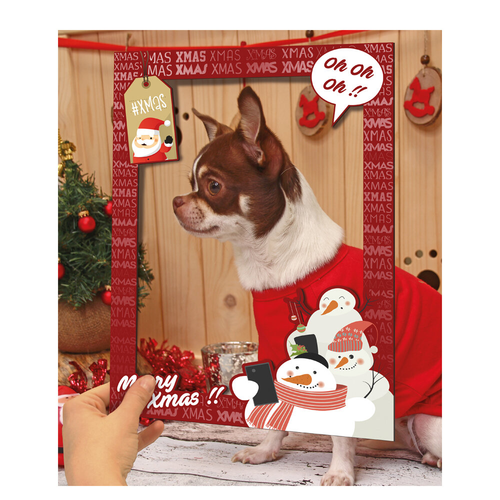 brown and white small chihuahua wearing red shirt surrounded by christmas style frame being held by hand