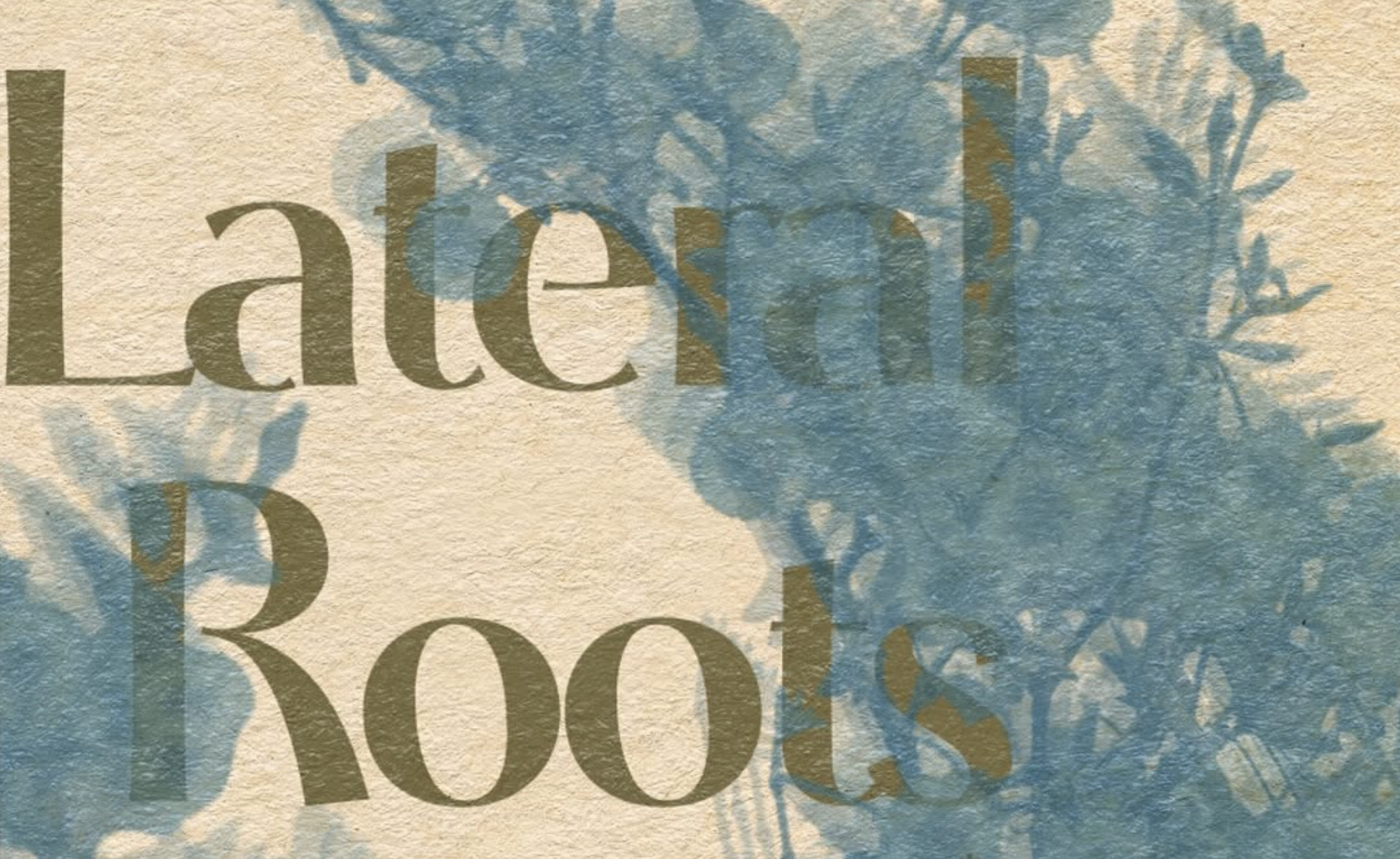 Lateral Roots Group Show