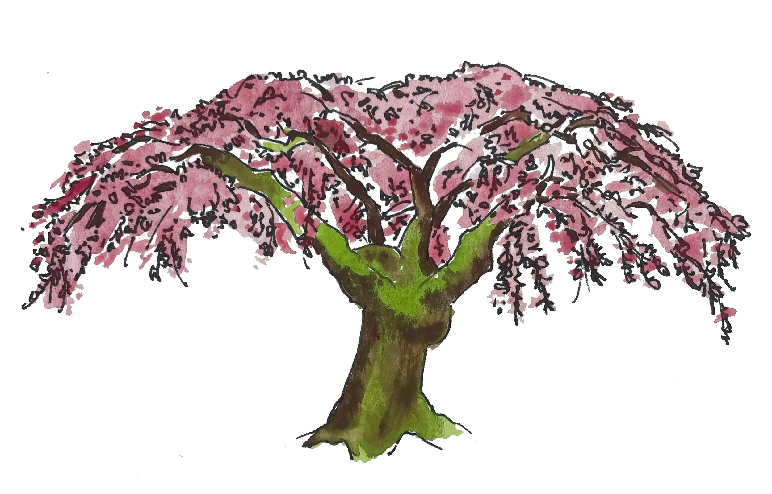 18_THE MONTANA TREE_TREE.jpg