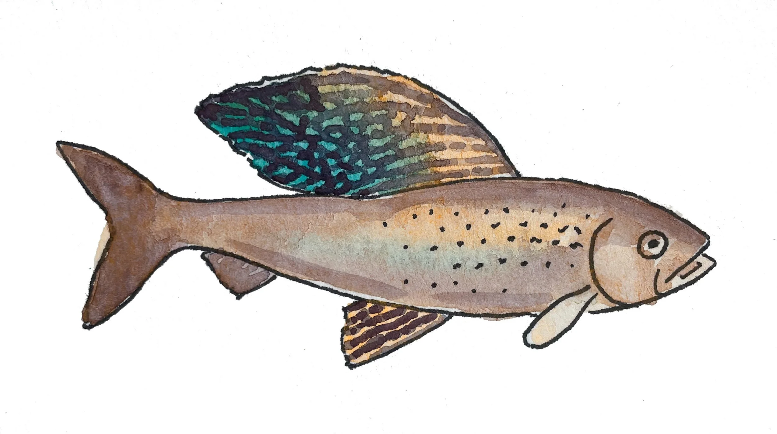 23_ARCTIC CIRCLE REINDEER JOURNALS_GRAYLING.jpg