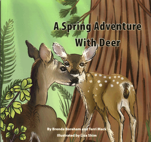 A Spring Adventure With Deer - A unique fiction and non-fiction approach for grade levels two and three. 