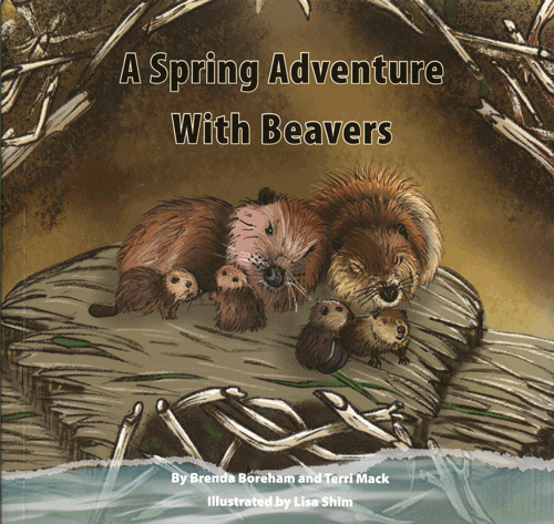 A Spring Adventure with Beavers - A unique fiction and non-fiction approach for grade levels two and three. 