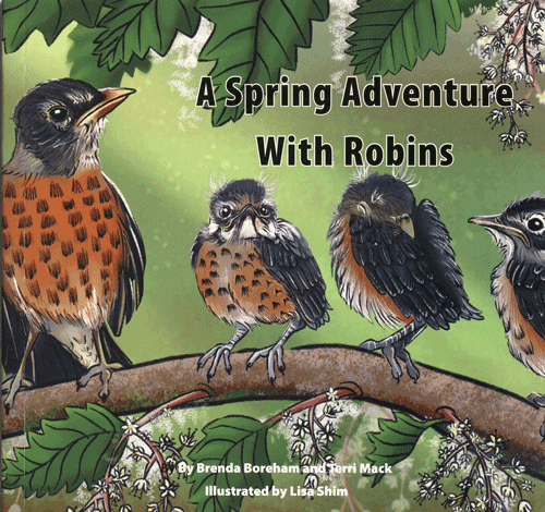 A Spring Adventure With Robins - A unique fiction and non-fiction approach for grade levels two and three. 