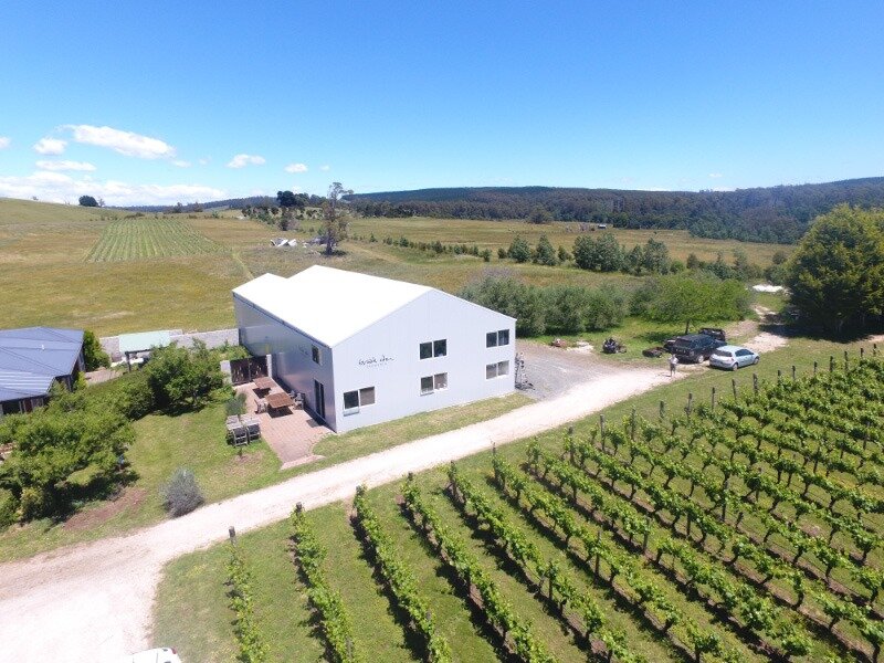 Brook Eden Vineyard