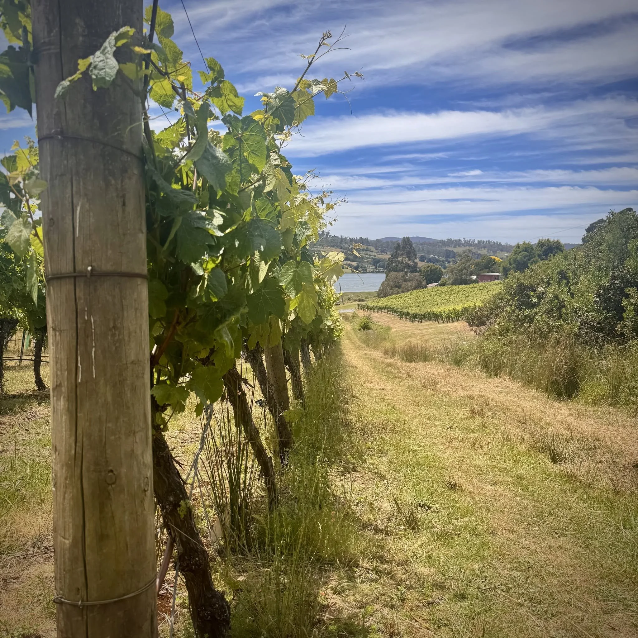 Valour Wine