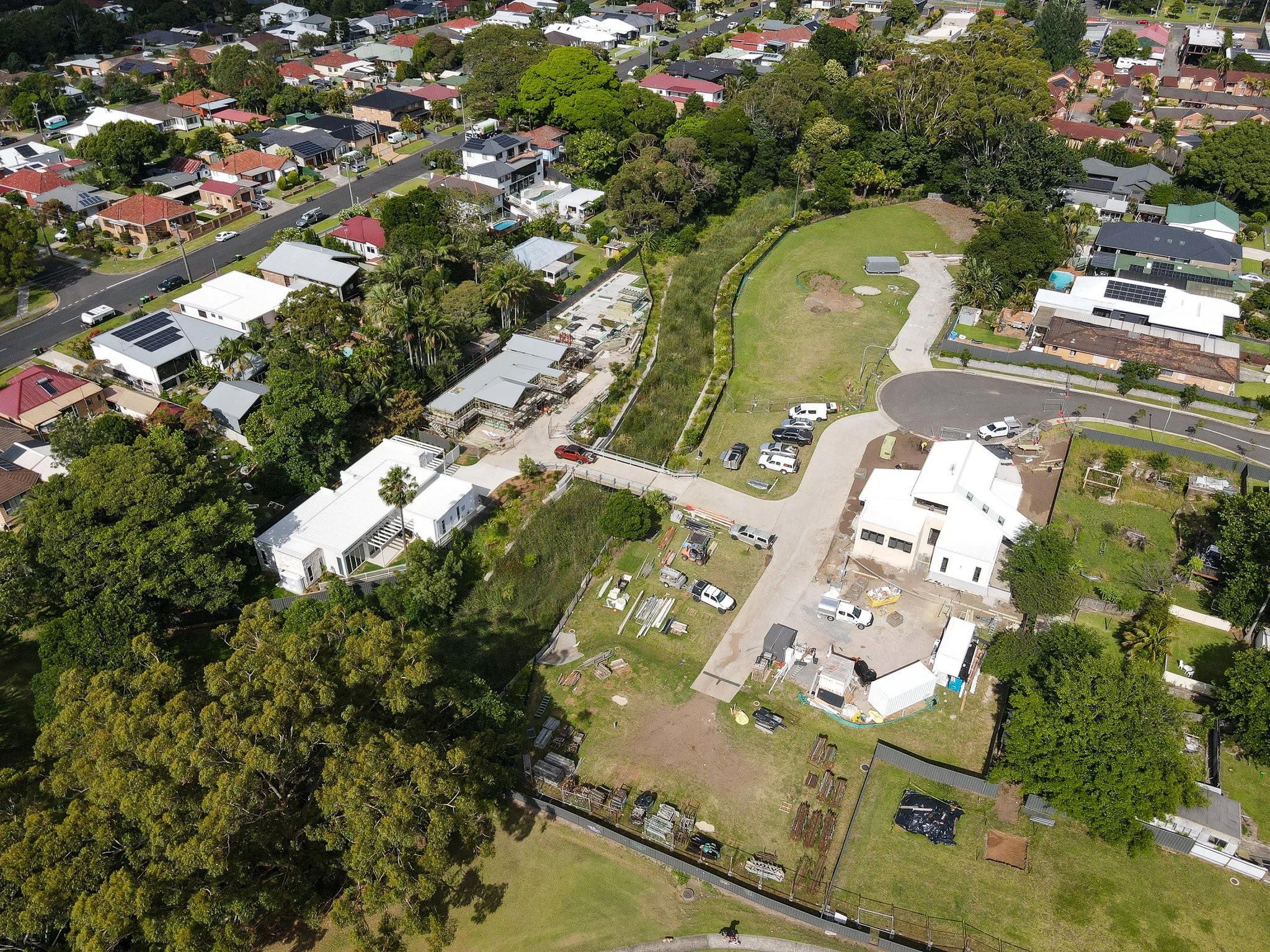 Livistona-Close-Russell-Vale-December-Update-2025-1.jpg
