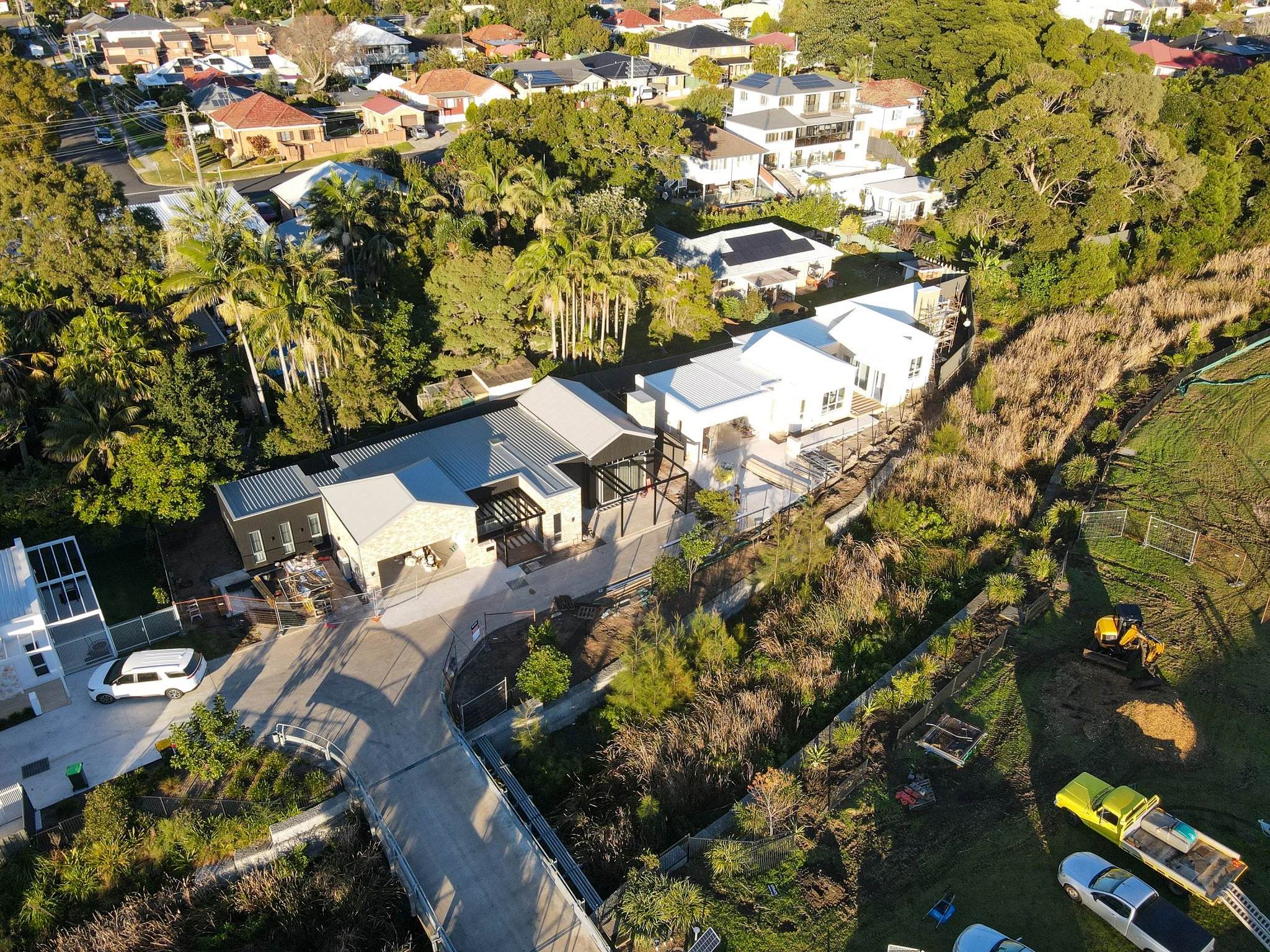 Livistona-Close-Russell-Vale-May-Update-2026-2.jpg
