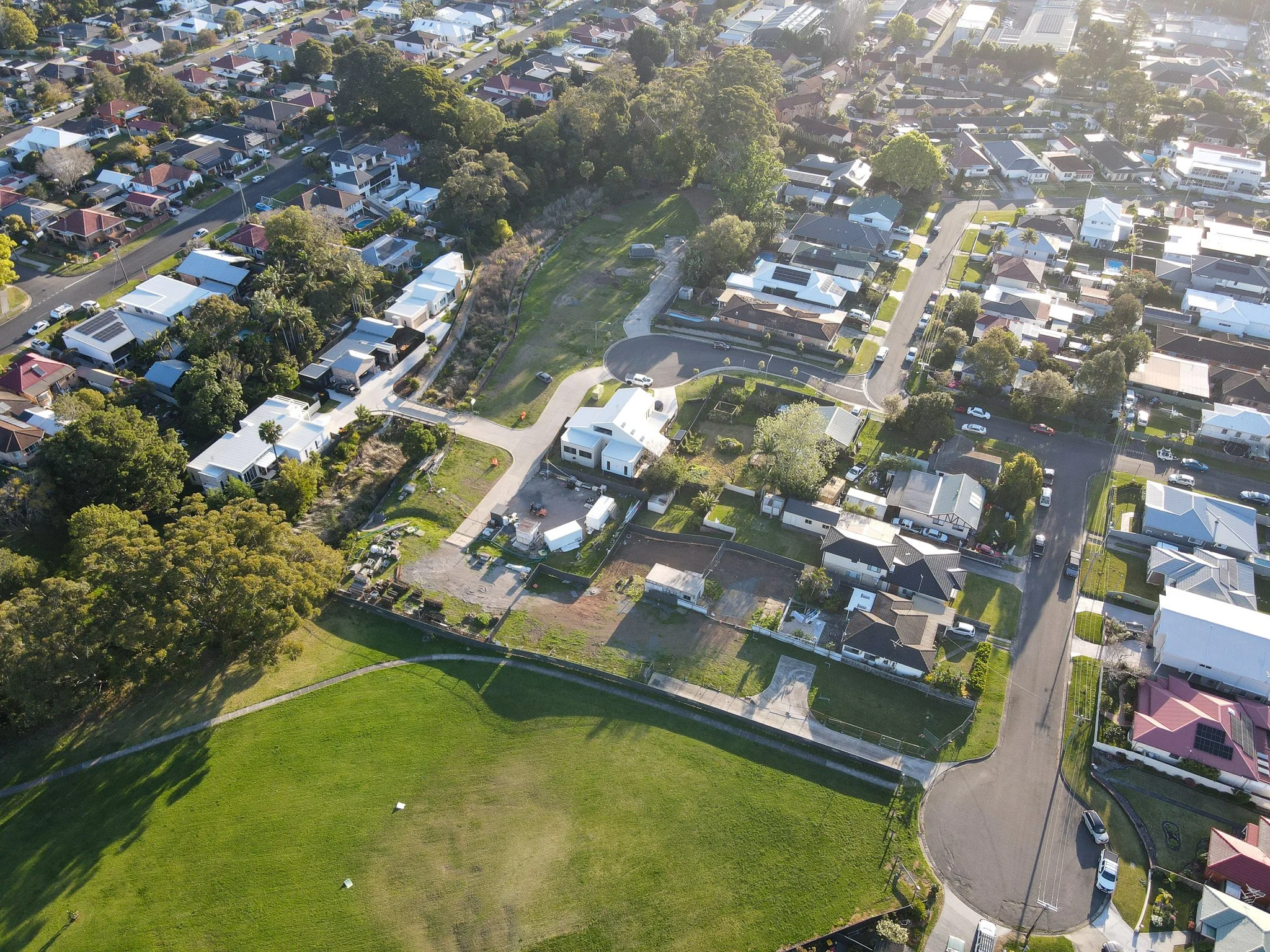 Livistona-Close-Russell-Vale-August-Update-2026-2.jpg