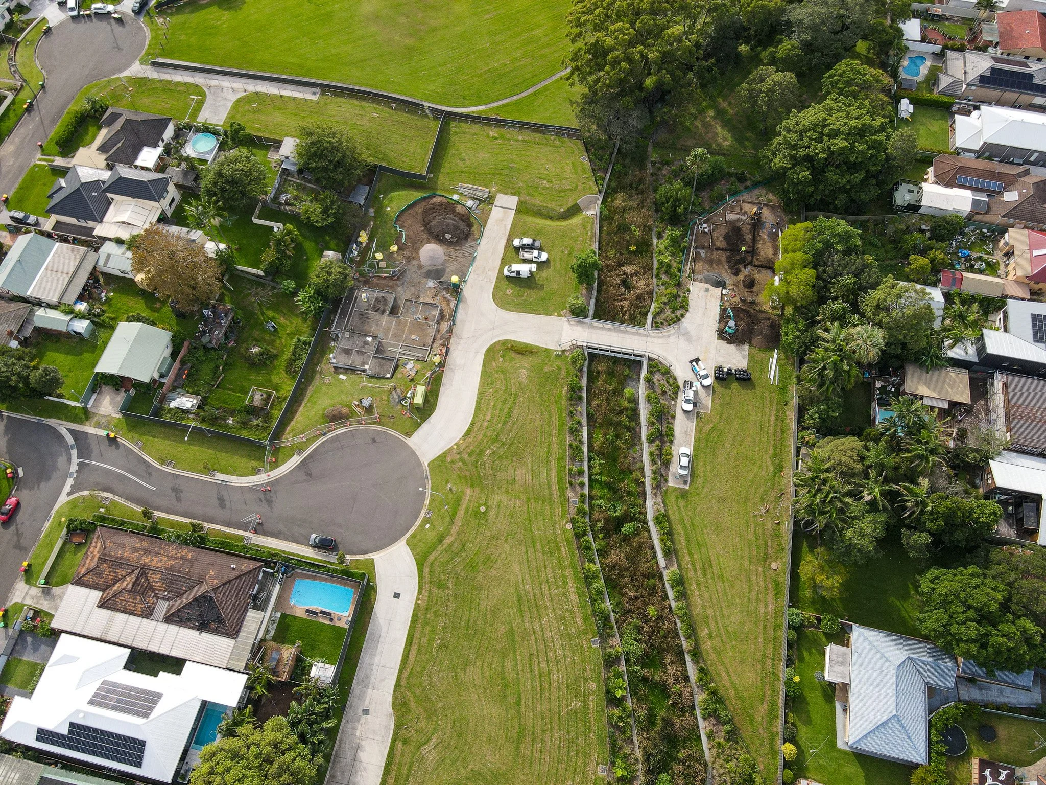 livistona-close-russell-vale-march-update-2025-3.jpg