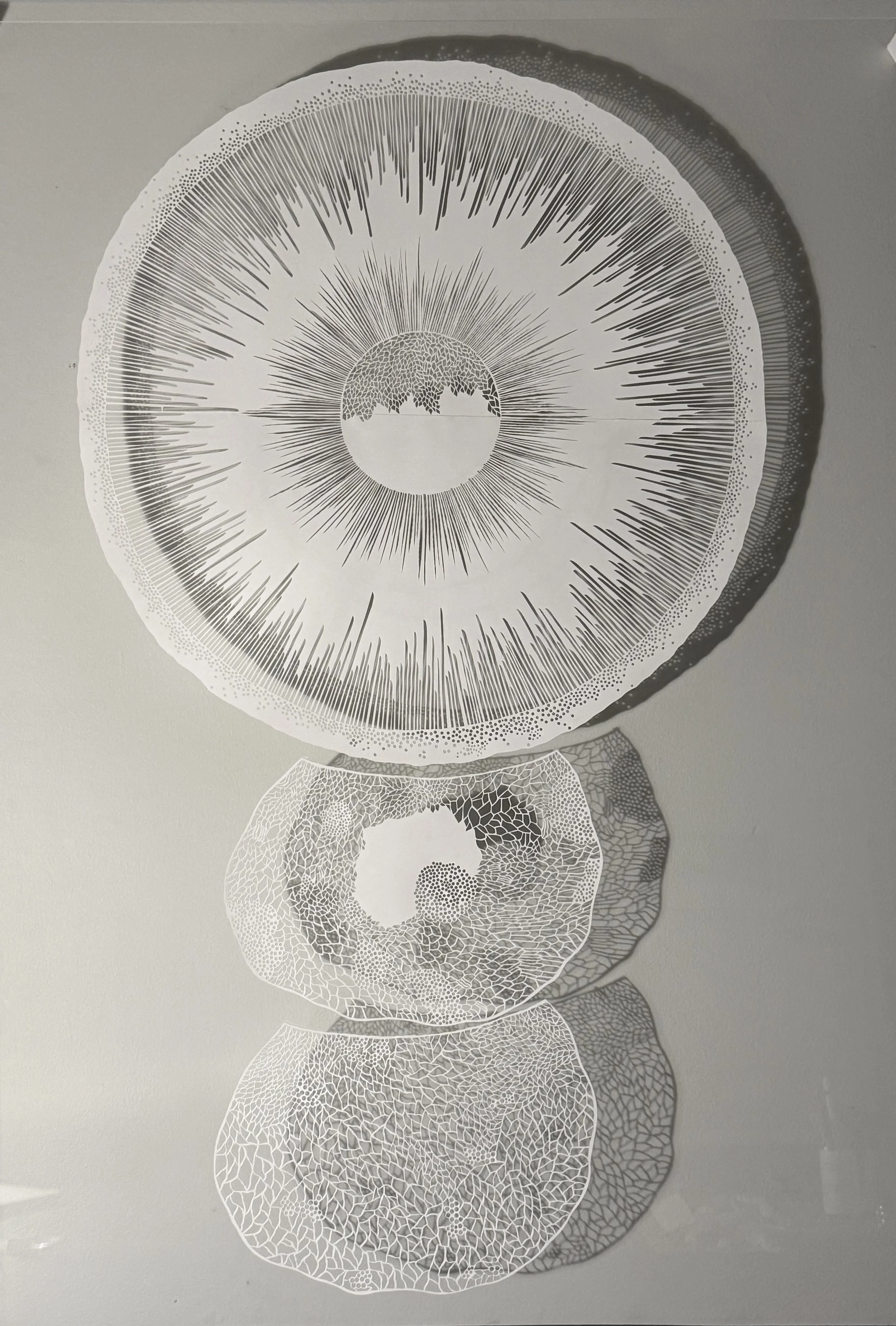 Series of layered, circular, lace-like paper cutouts with intricate patterns.
