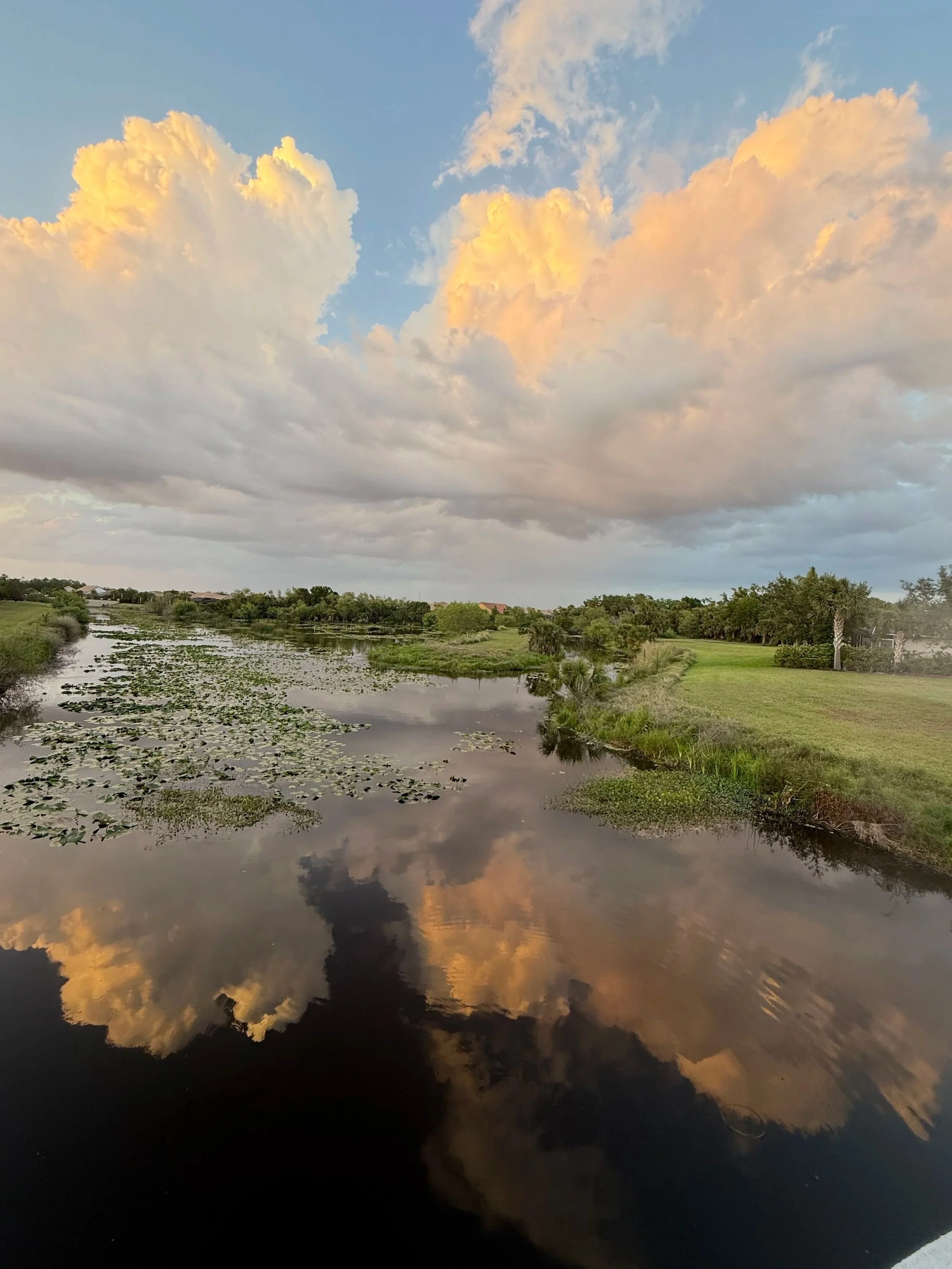 Cloudy sky with reflections of clouds on calm water, surrounded by greenery and trees.