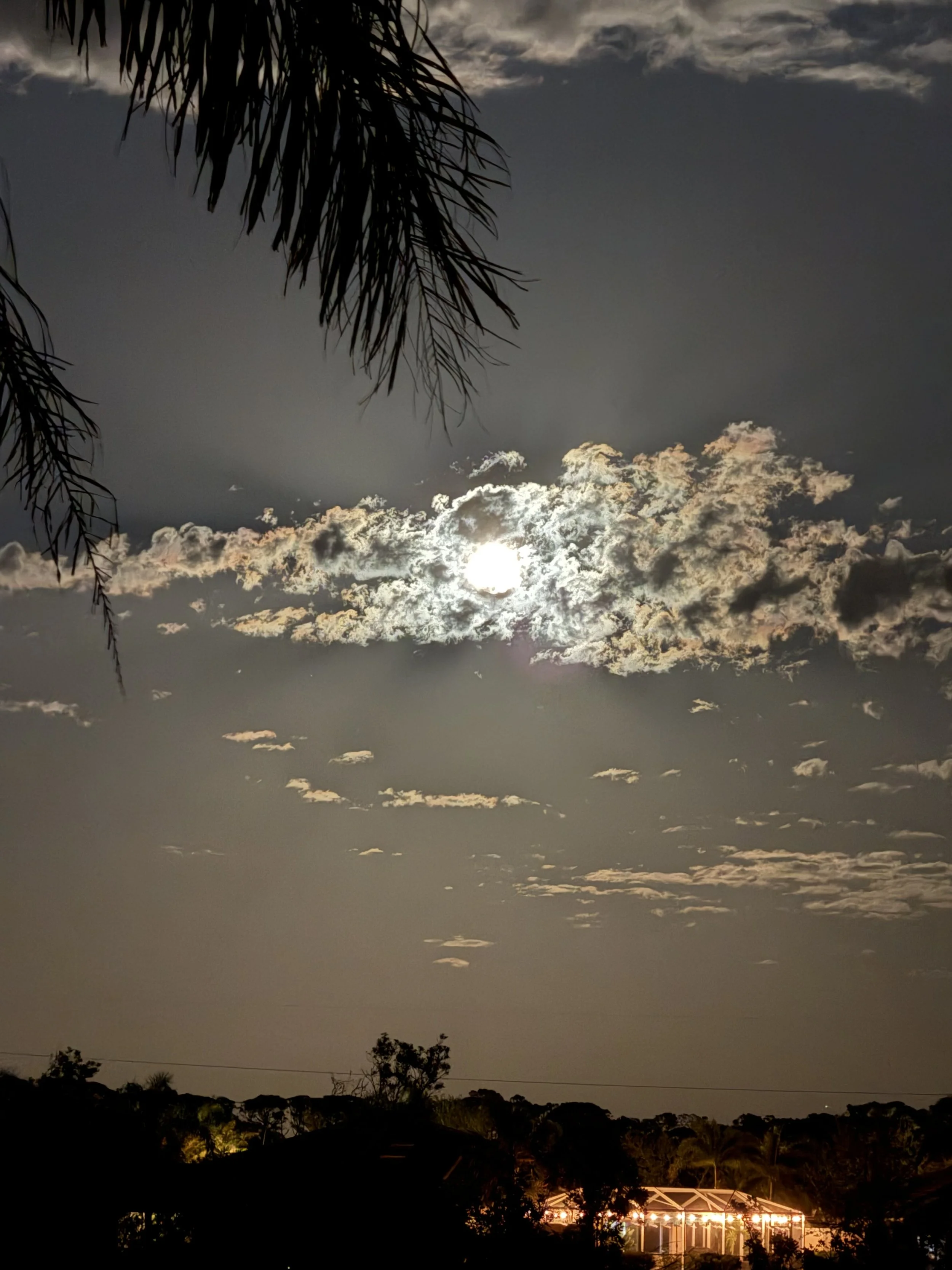Nighttime landscape with moon partially hidden behind clouds, silhouetted trees and a building illuminated with warm lights at the bottom.