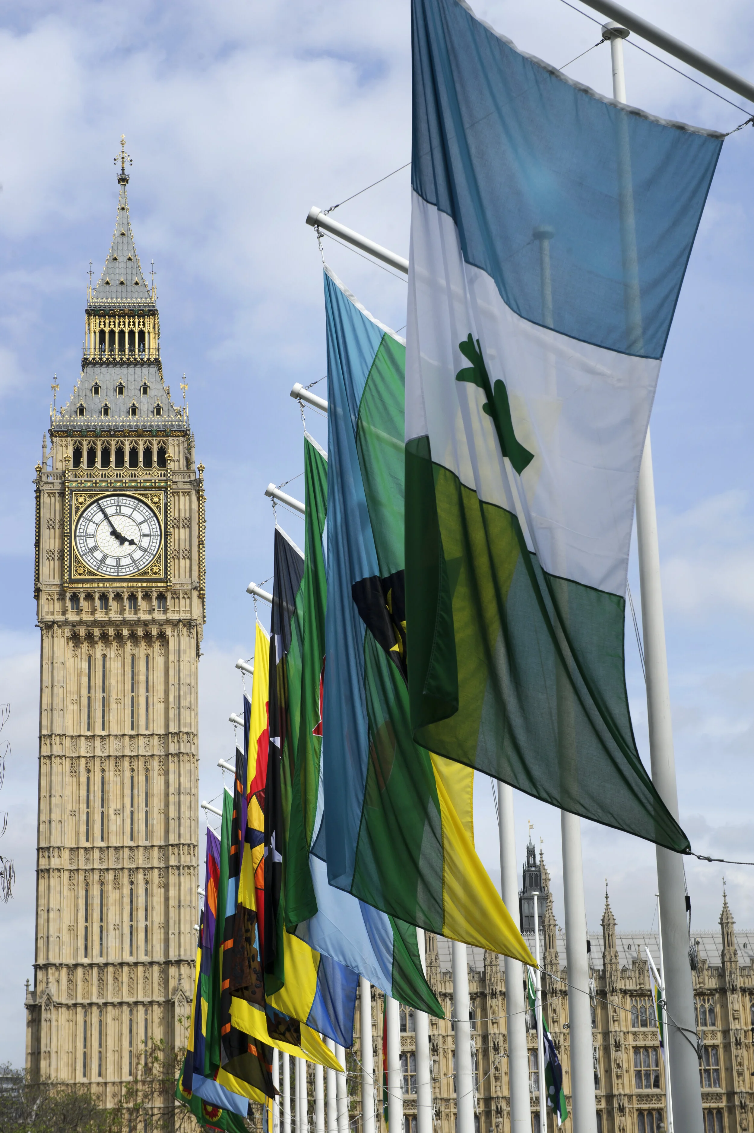The 2015 Flag Project