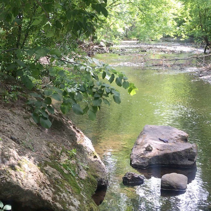 Peace like a river...
(Okay, it's a creek, but still. So peaceful.)
.
.
.
#inspiration #naturelovers #naturephotography #findinginspirationeverywhere #authorsofinstagram #writinginspirationiseverywhere #peace #peacelikeariver