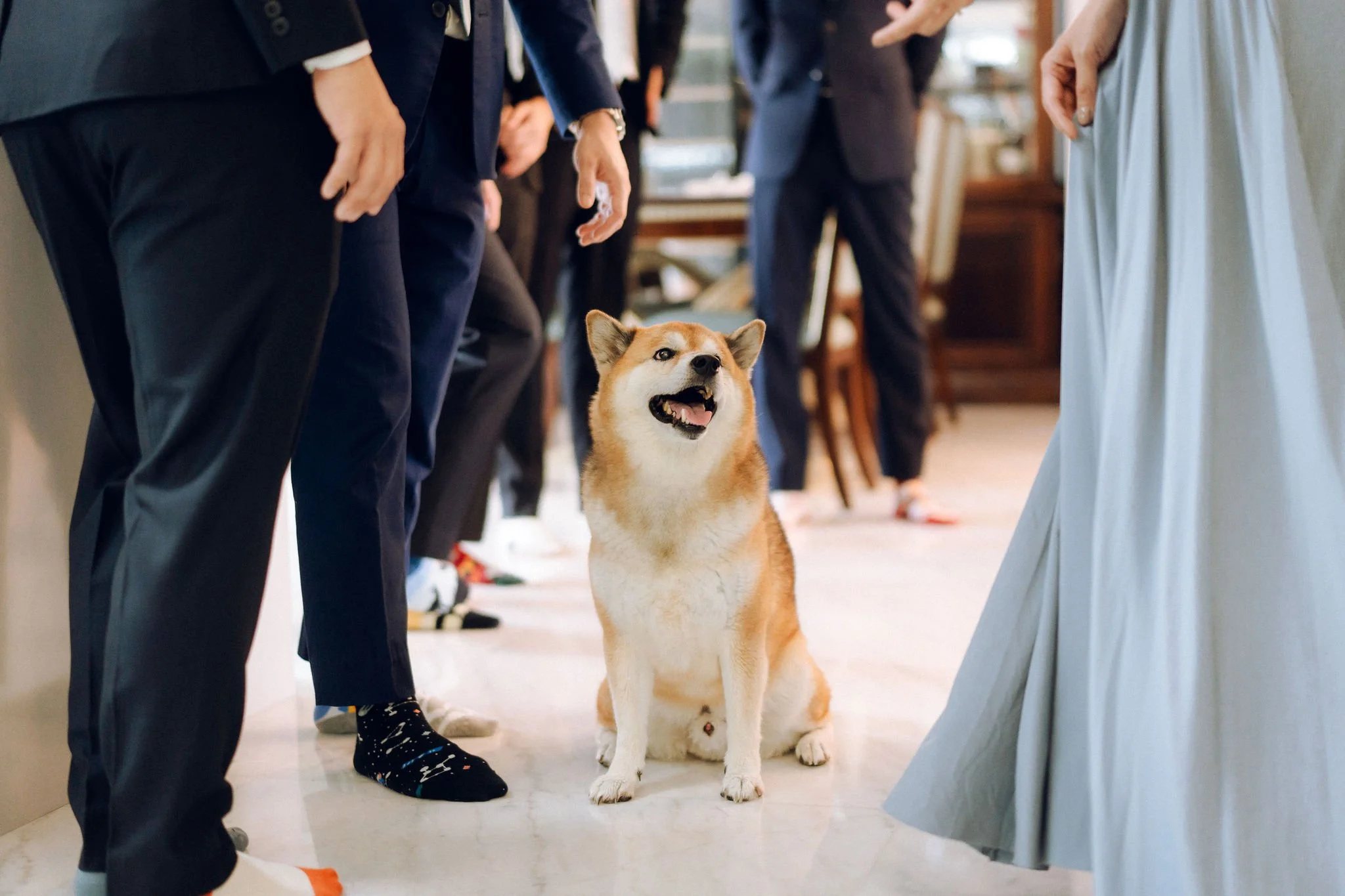 Daisy-31.jpg