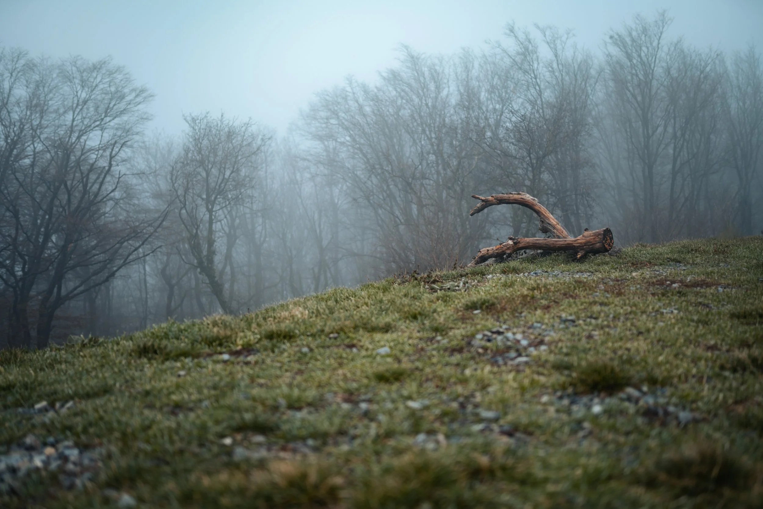 CHE06911-Edit.JPG