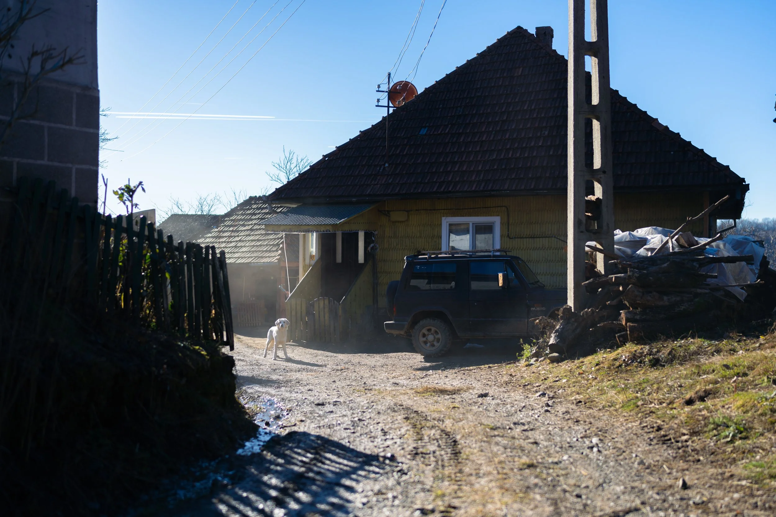 BCM03328.JPG