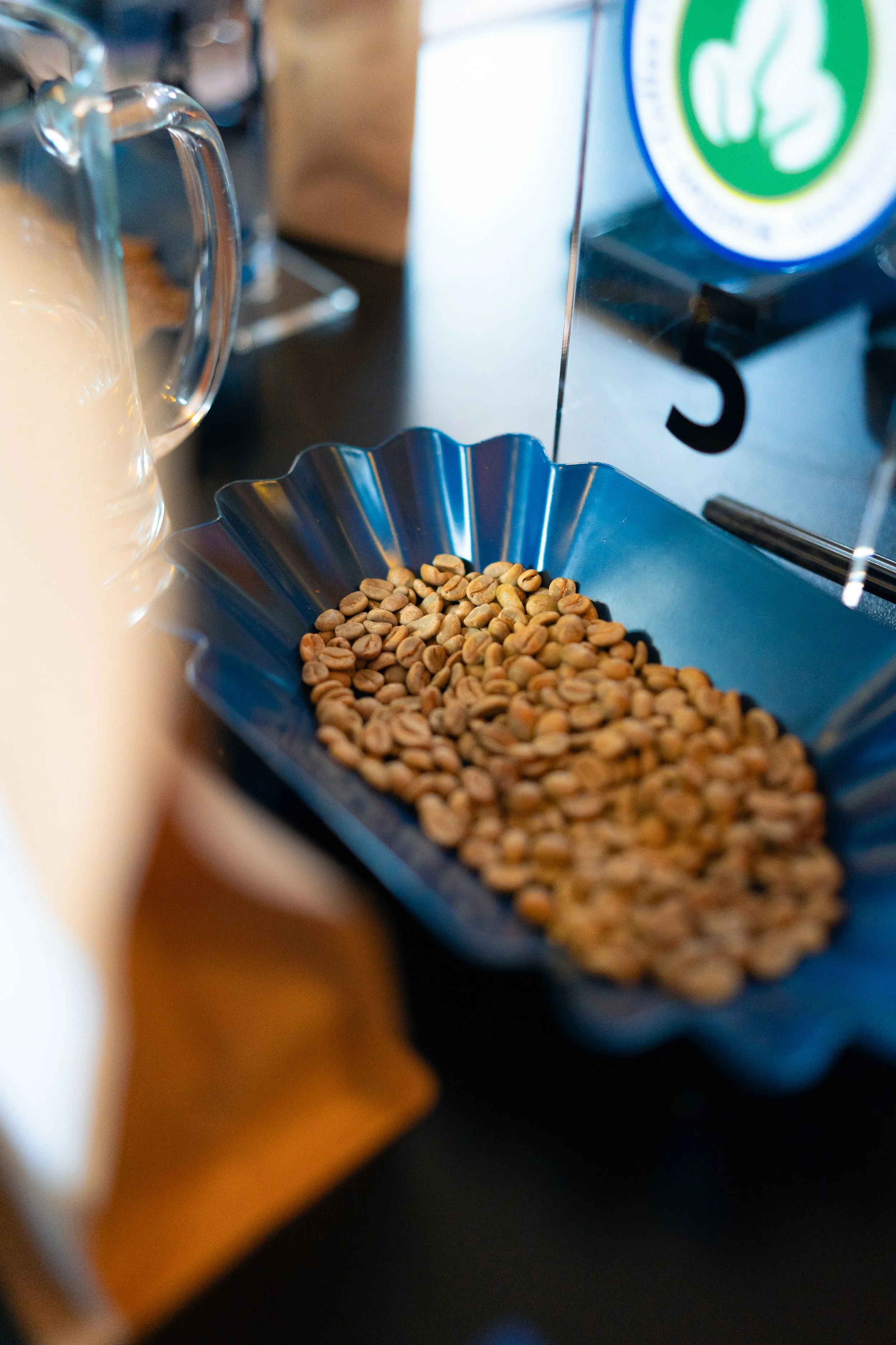 @bogdanchesa Oradea Coffee Festival 8.JPG
