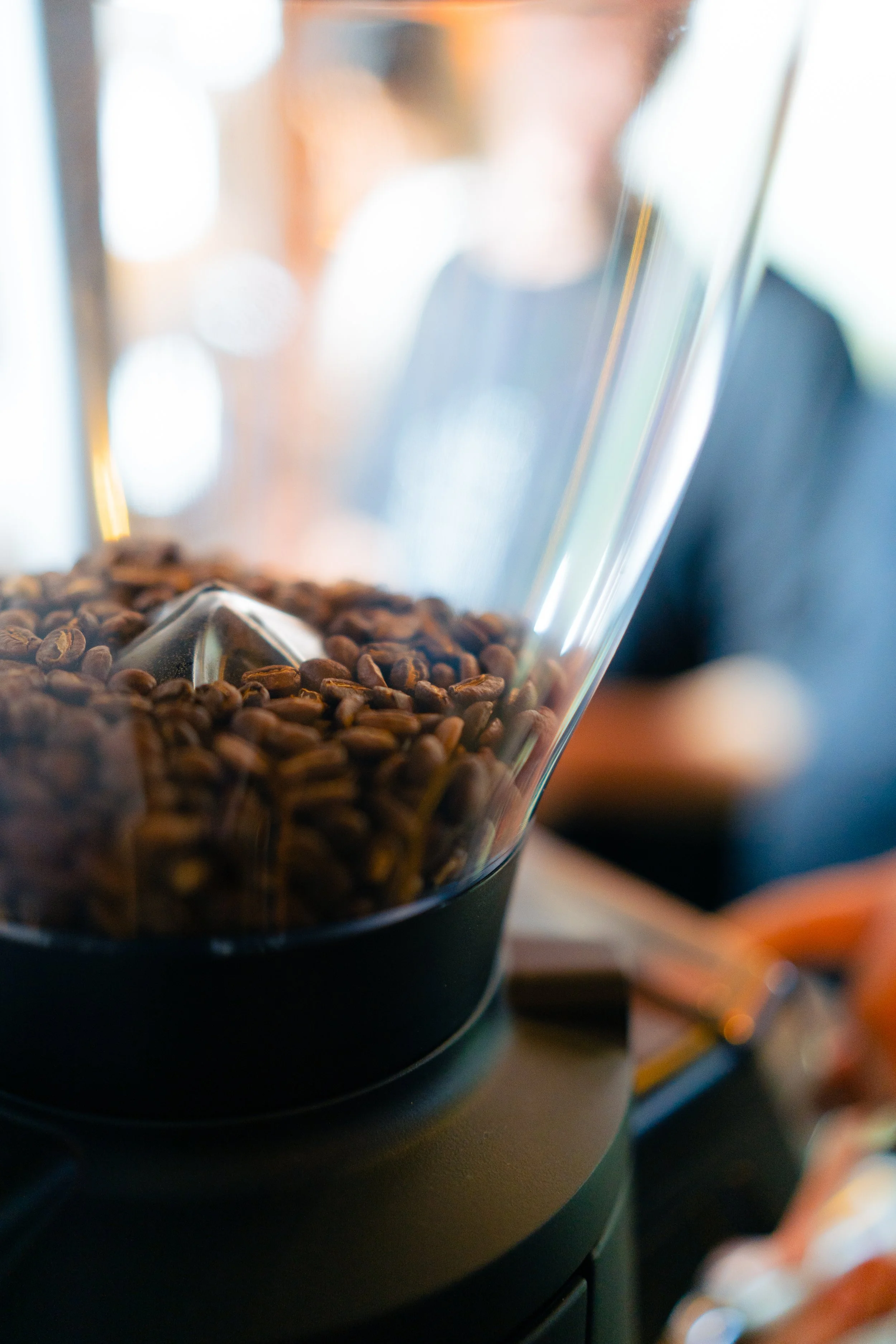@bogdanchesa Oradea Coffee Festival 3.JPG