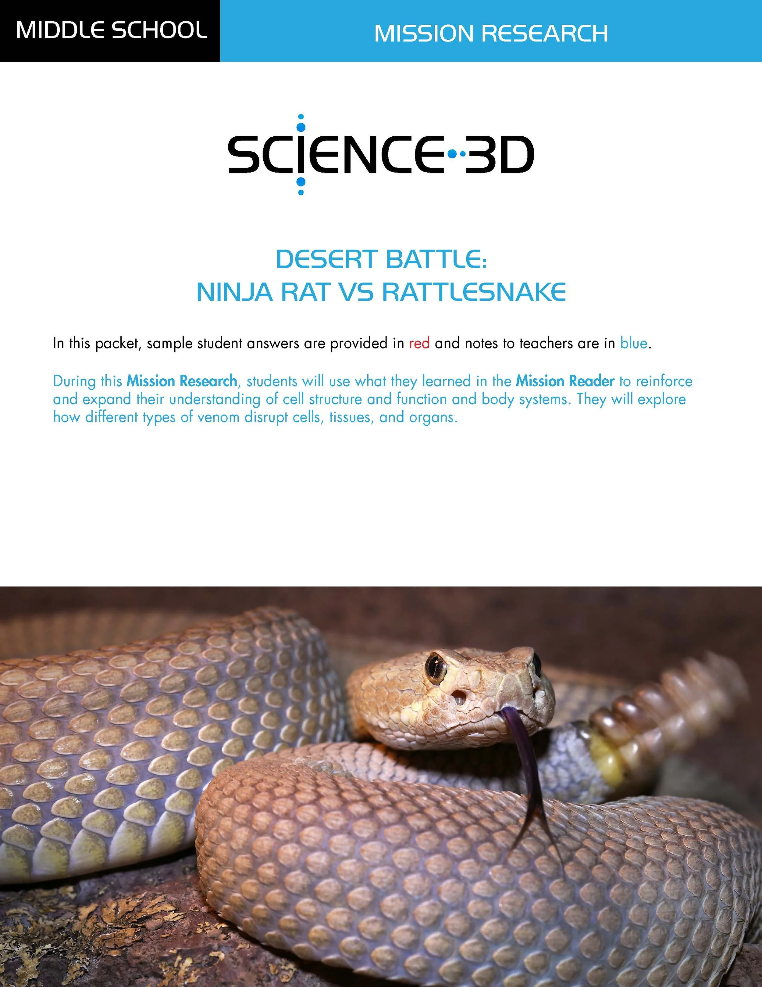 Desert Battle: Ninja Rat vs Rattlesnake - Mission Research Answers