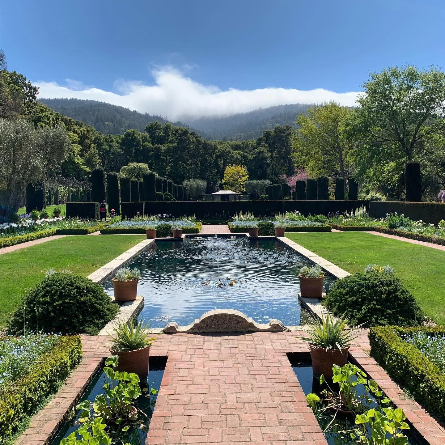 My office today #california #sunshine