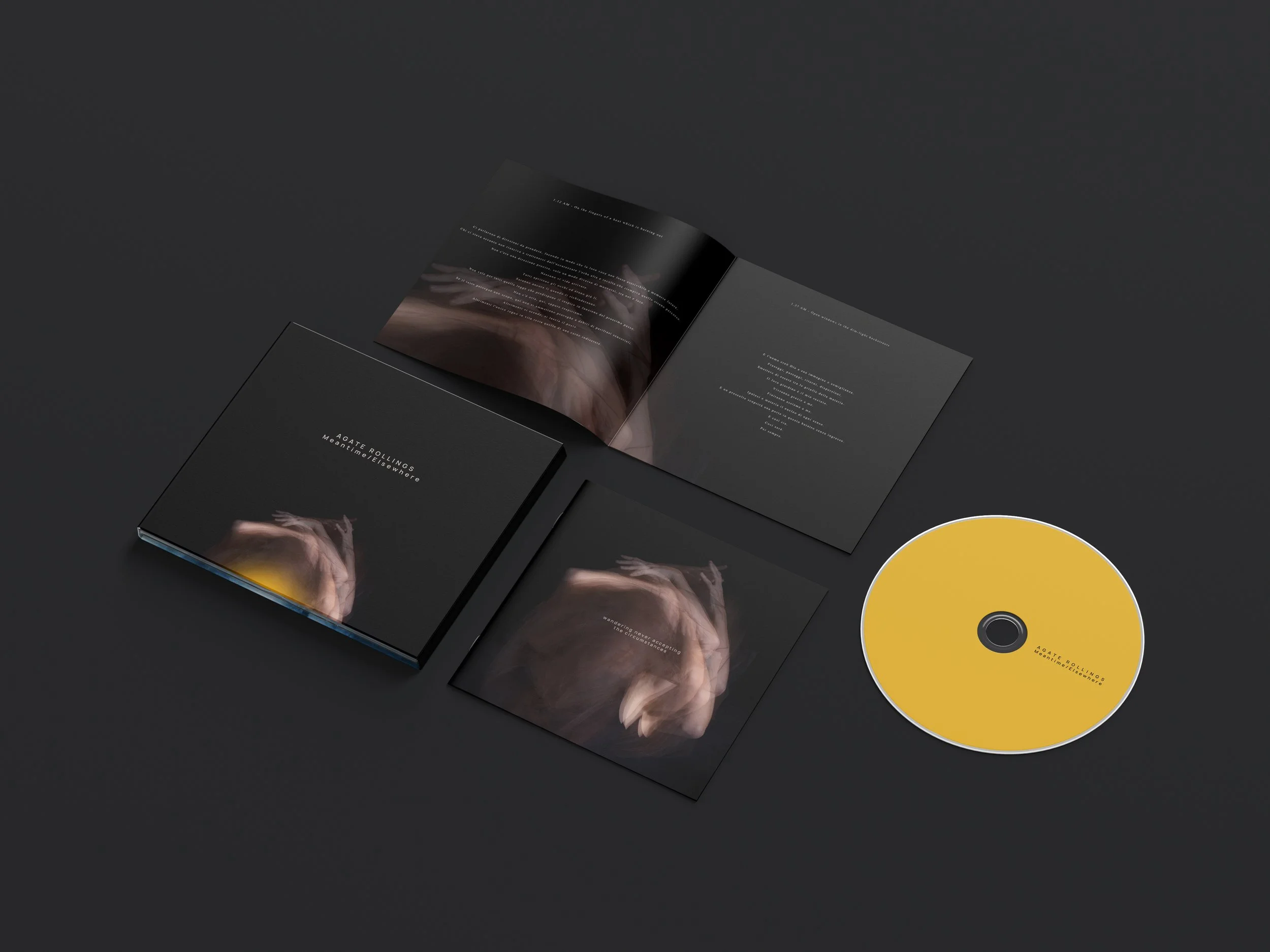 Digipack_Mockup_4 MEANTIME.jpg