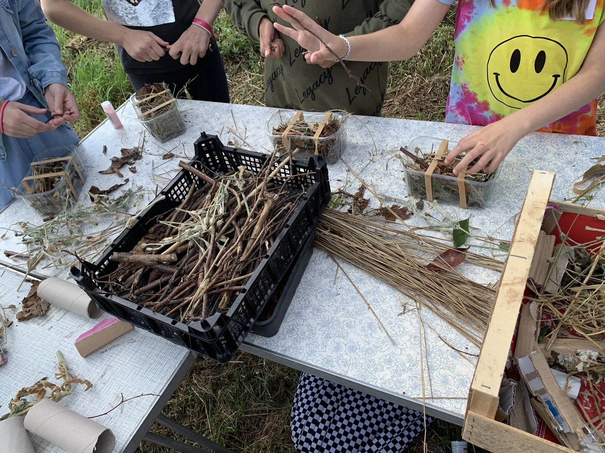 Summer School, what a blast!