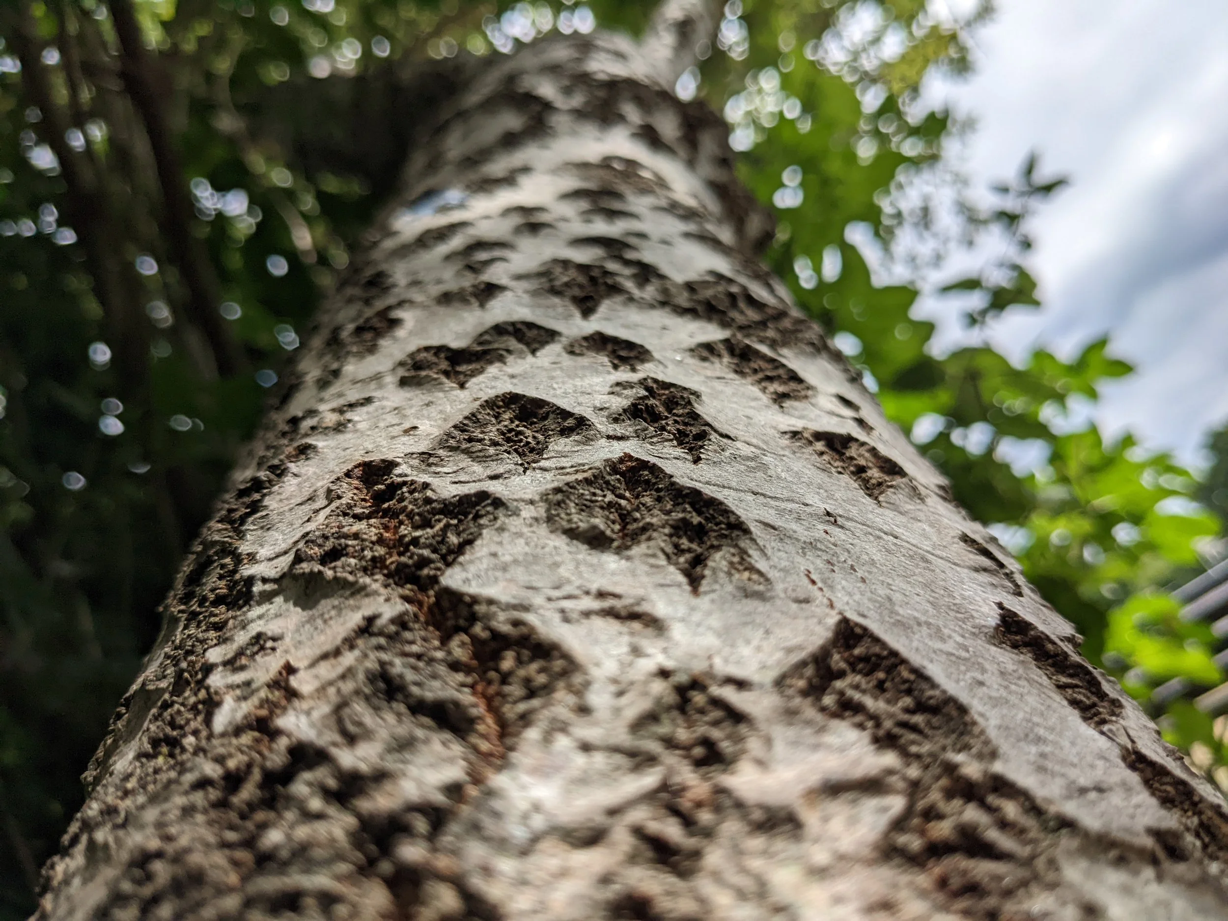 A creative partnership at Gateway Women’s Centre