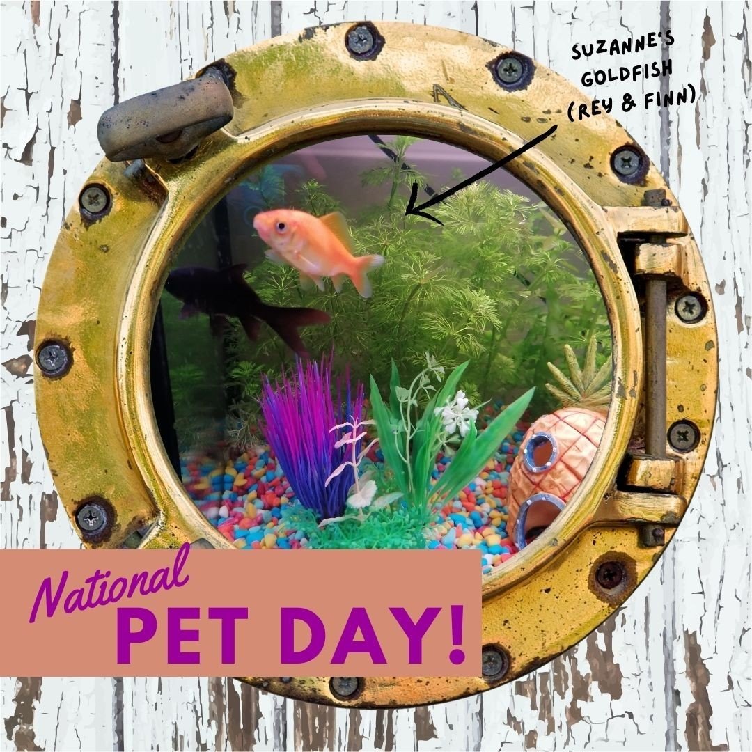 We've been told by a reliable source that today is National Pet Day!⁠
⁠
Pets come in all shapes and sizes. They bring joy to our lives and they are really good at keeping secrets!!⁠
⁠
🐶🦜🐭🐱🐸🐰🐠🐍🐴⁠
⁠
To celebrate National Pet Day, here are some