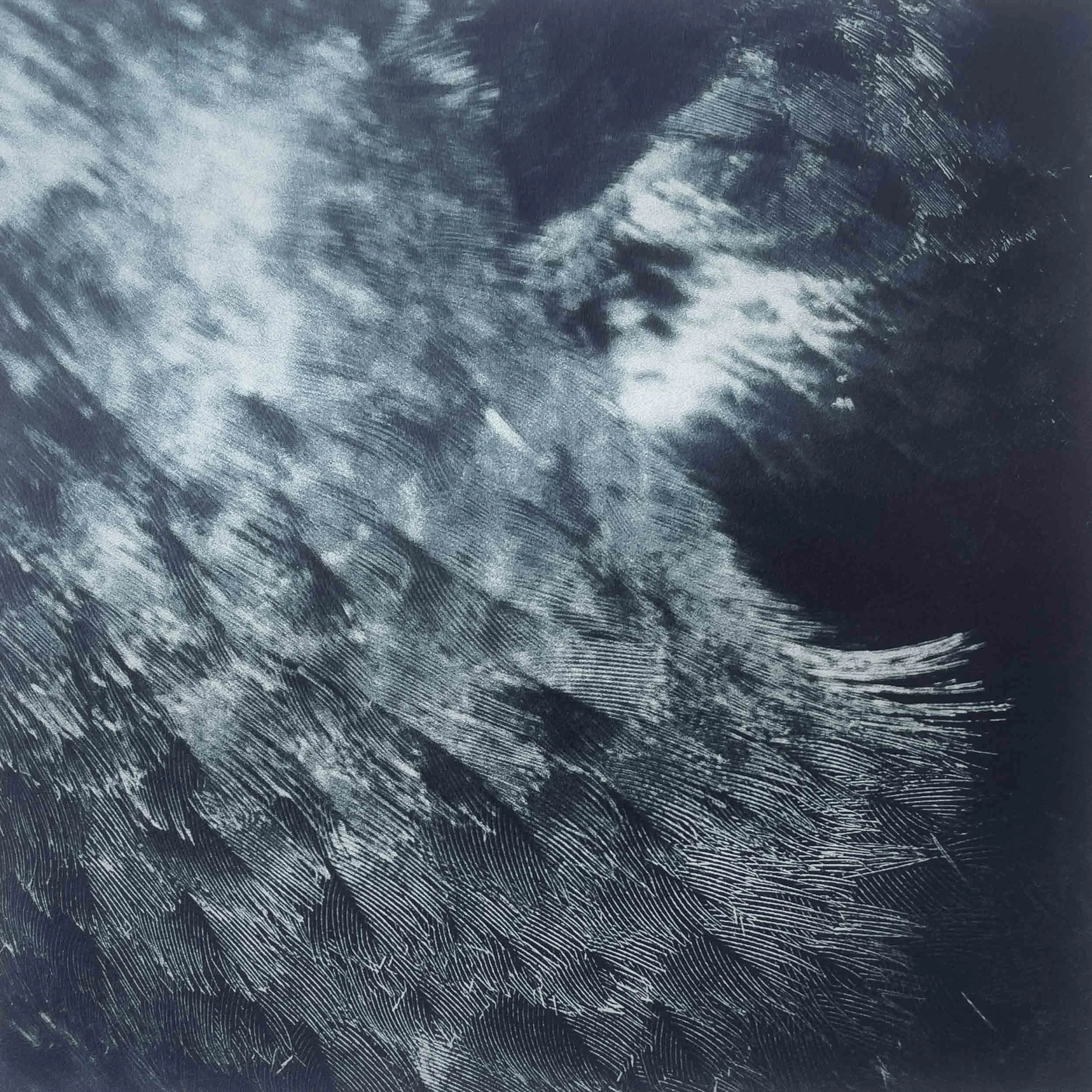 Feathering (2022)