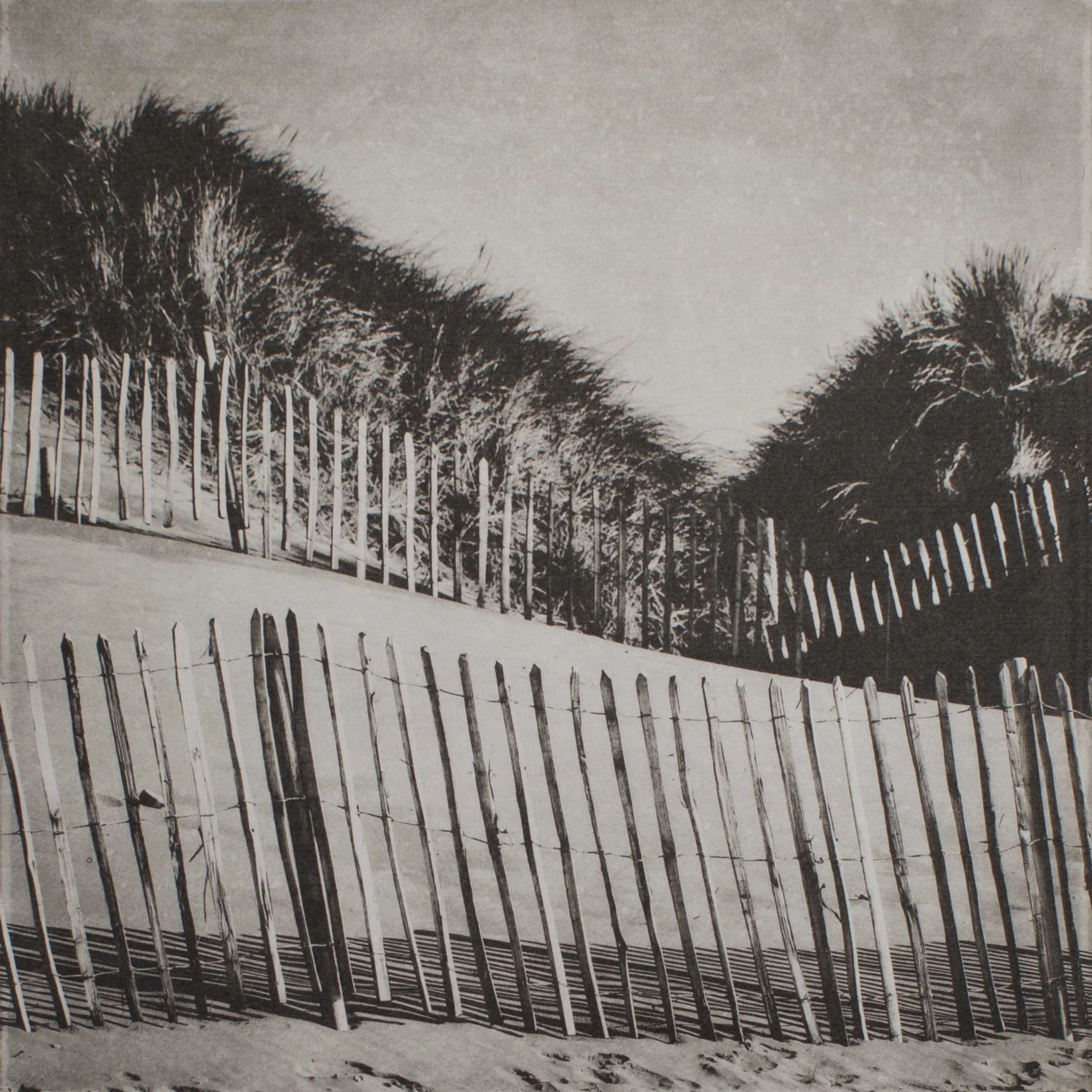 Fence I (Strandhill, Ireland)