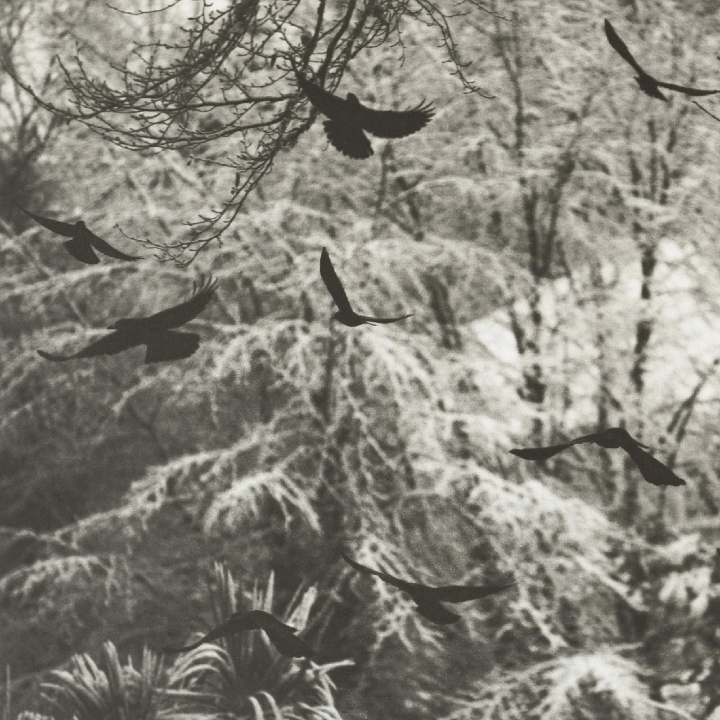 Wintering I (2022)