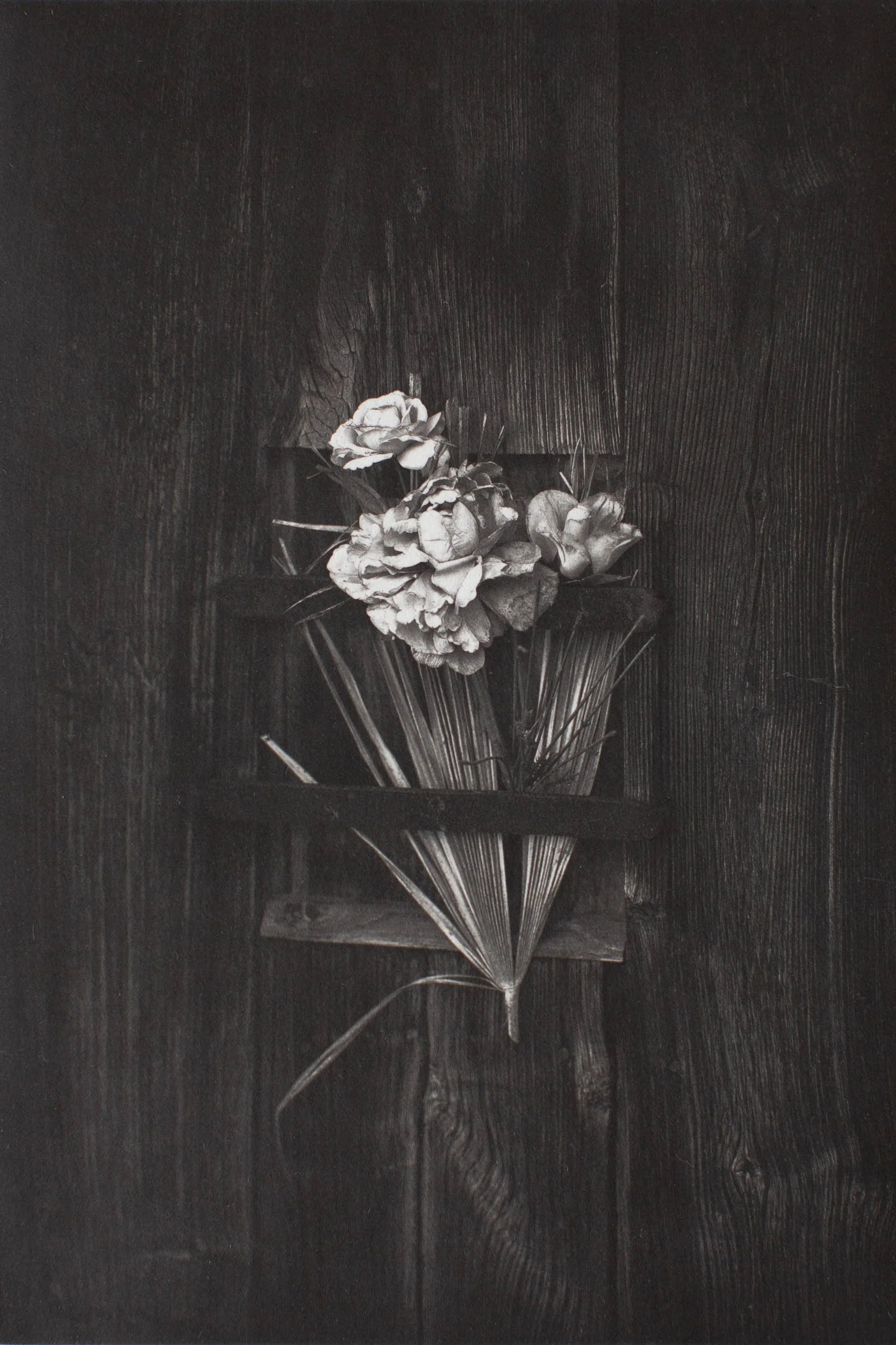 In Memory of Flowers