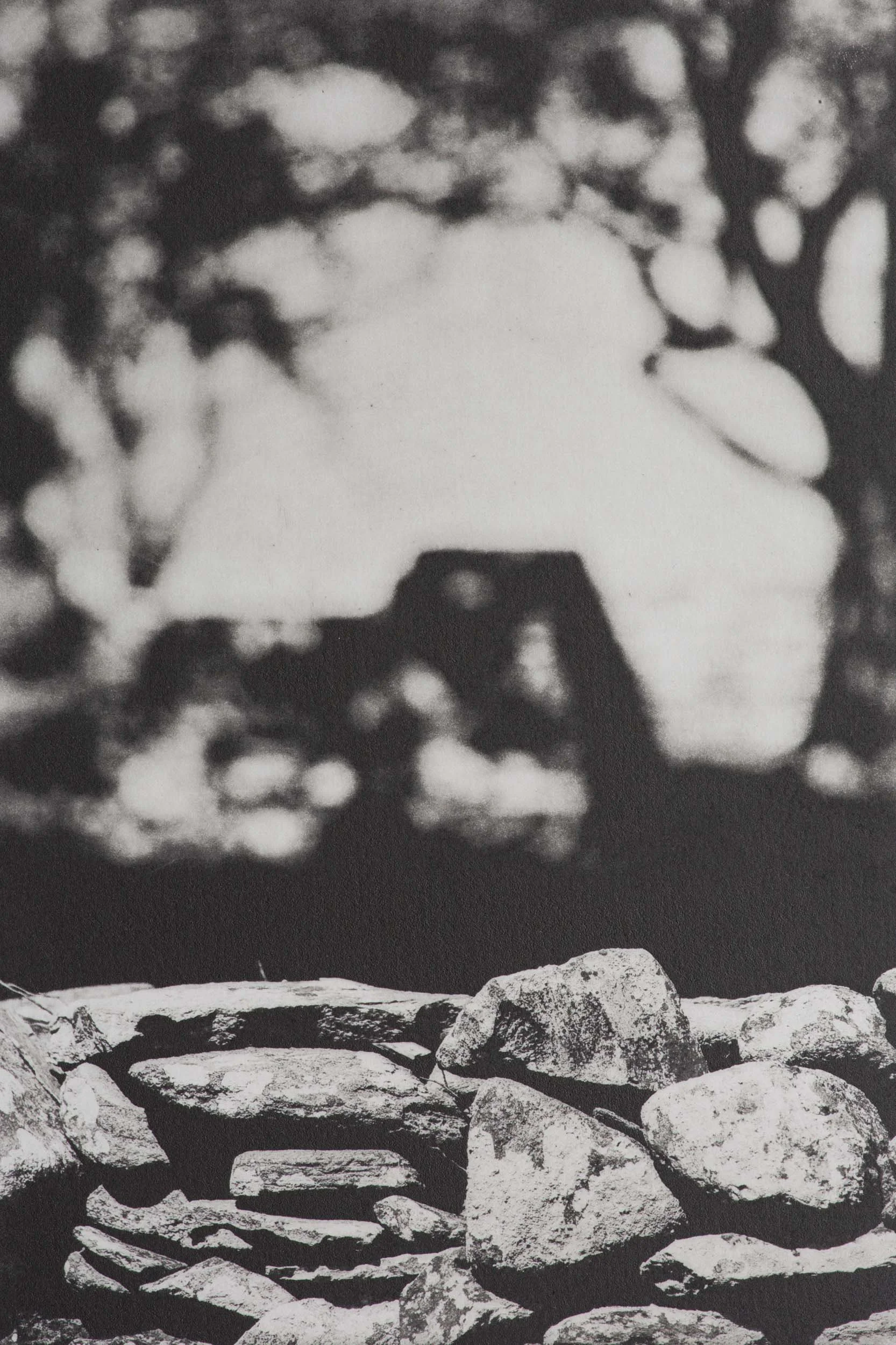 Stone Wall I (Utstein Kloster, Norway)