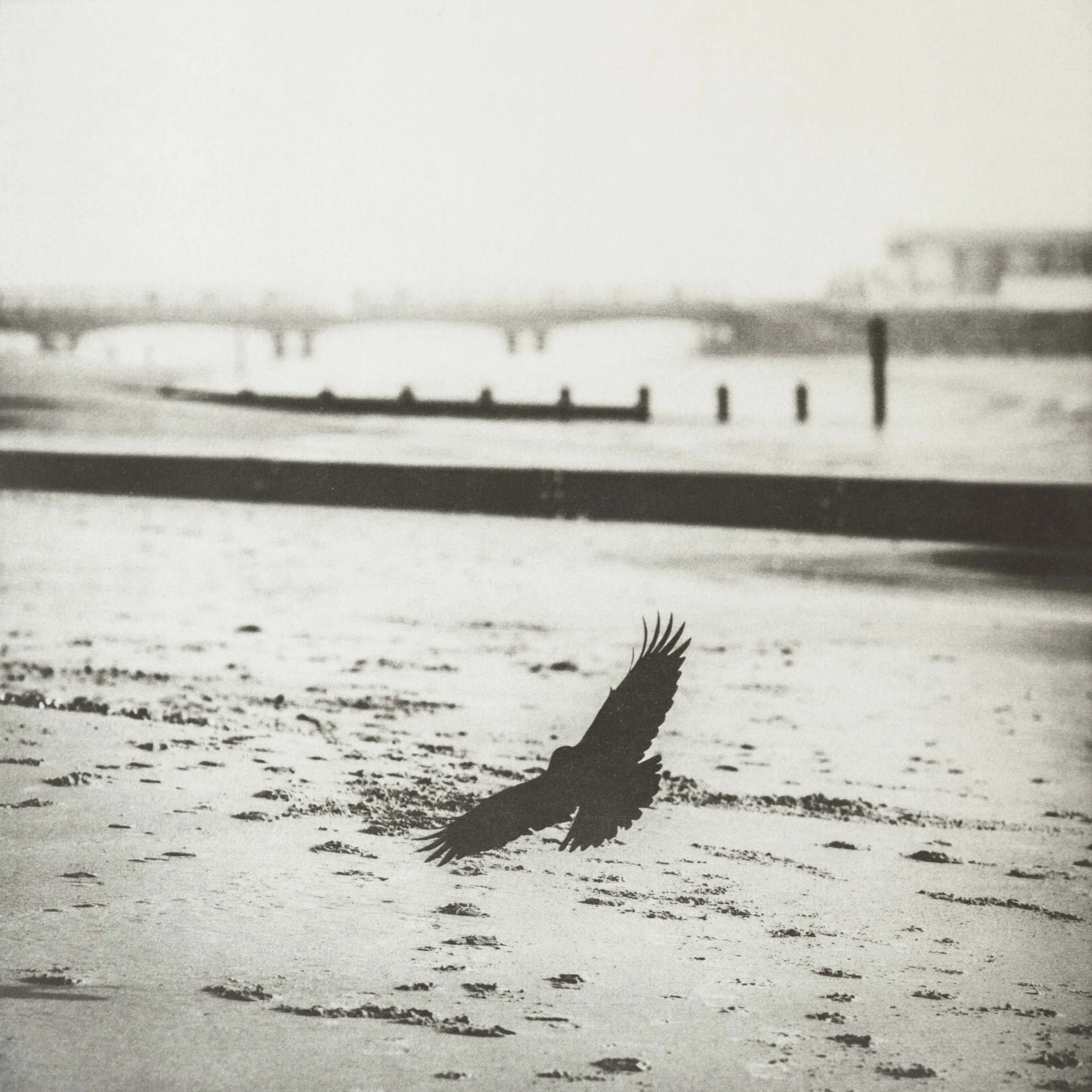 Between the Groynes (2023)