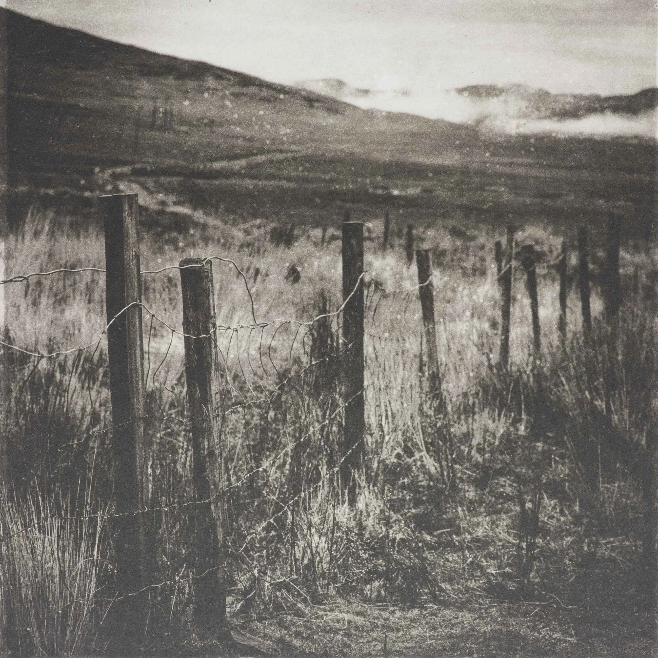 Fence II (Kerry, Ireland)