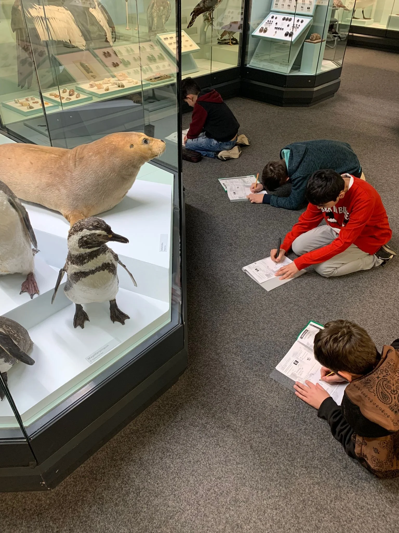 Erkundung des Naturkundemuseums Augsburg