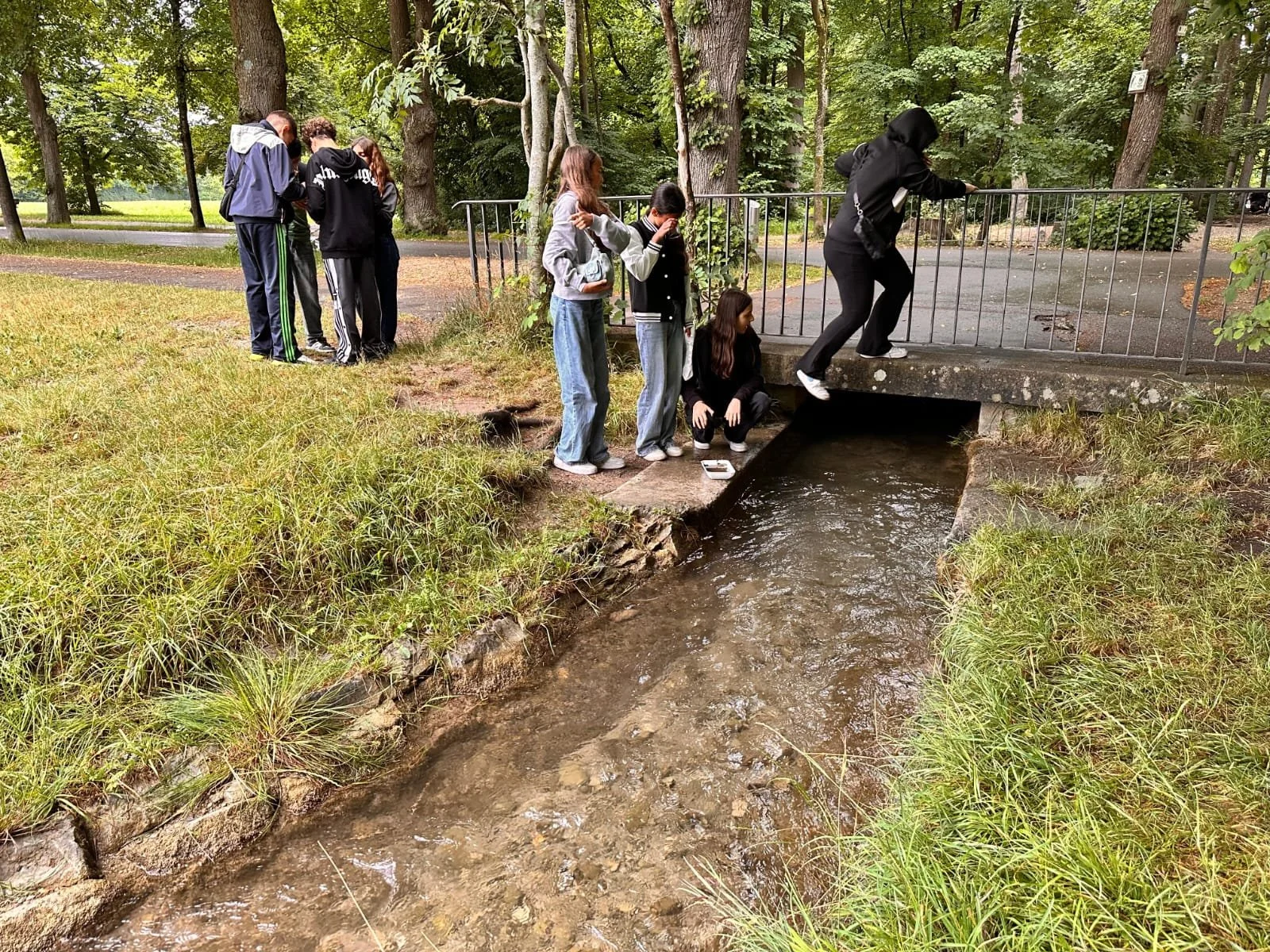 WhatsApp Image 2025-07-15 at 09.15.30.jpeg