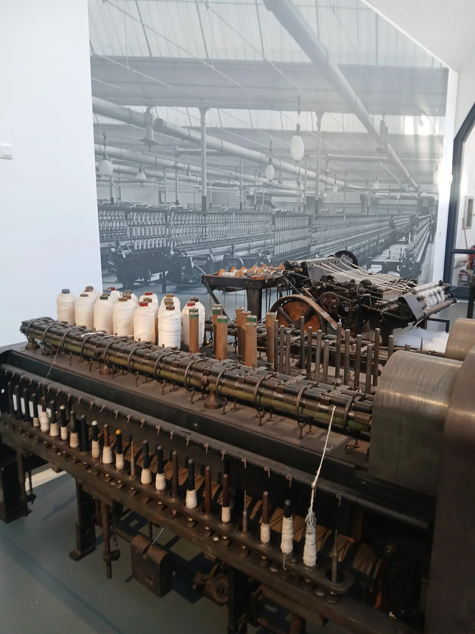 WhatsApp Image 2026-02-12 at 18.49.59 (1).jpeg