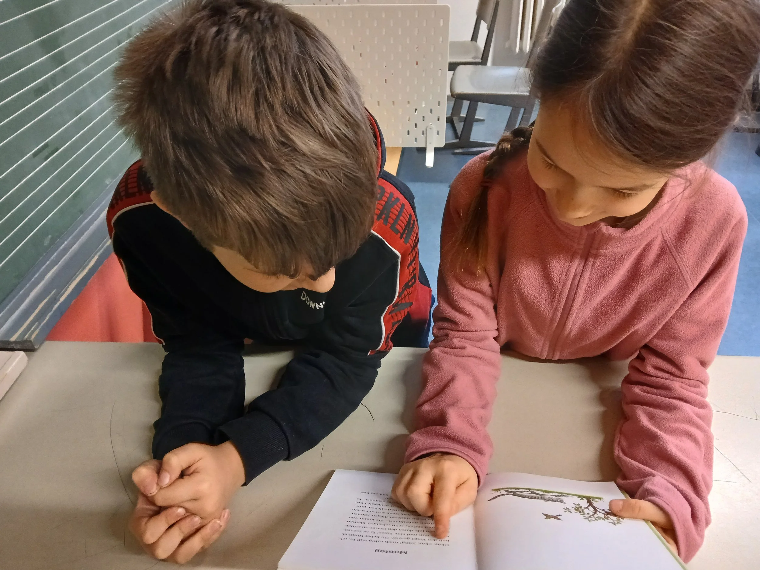 20260116_081159 (1).jpg