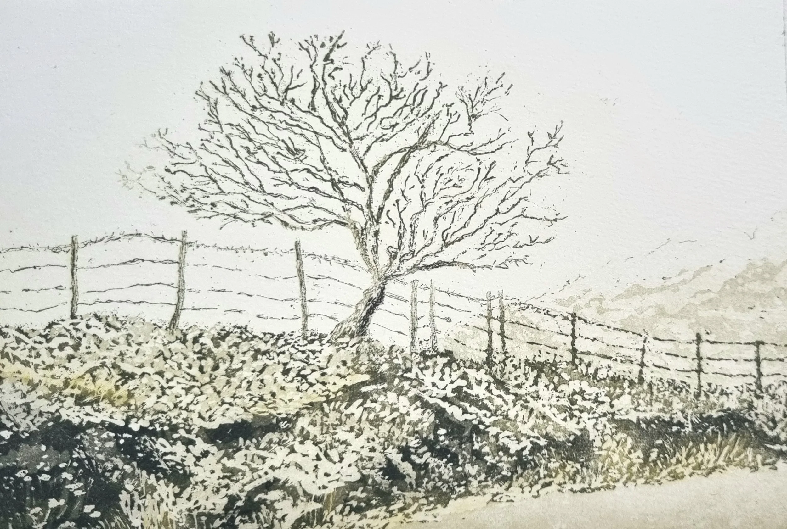 Kerry Tree
12 x 18cm