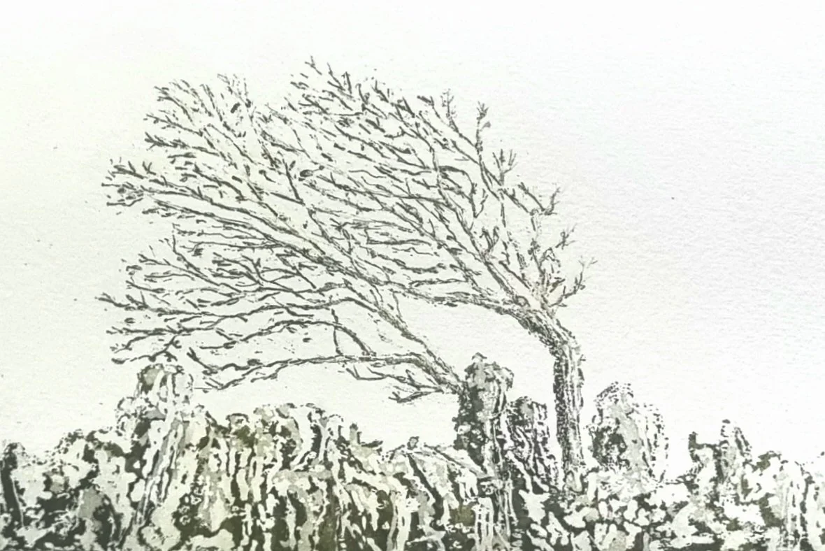 Burren Tree
12 x 18cm