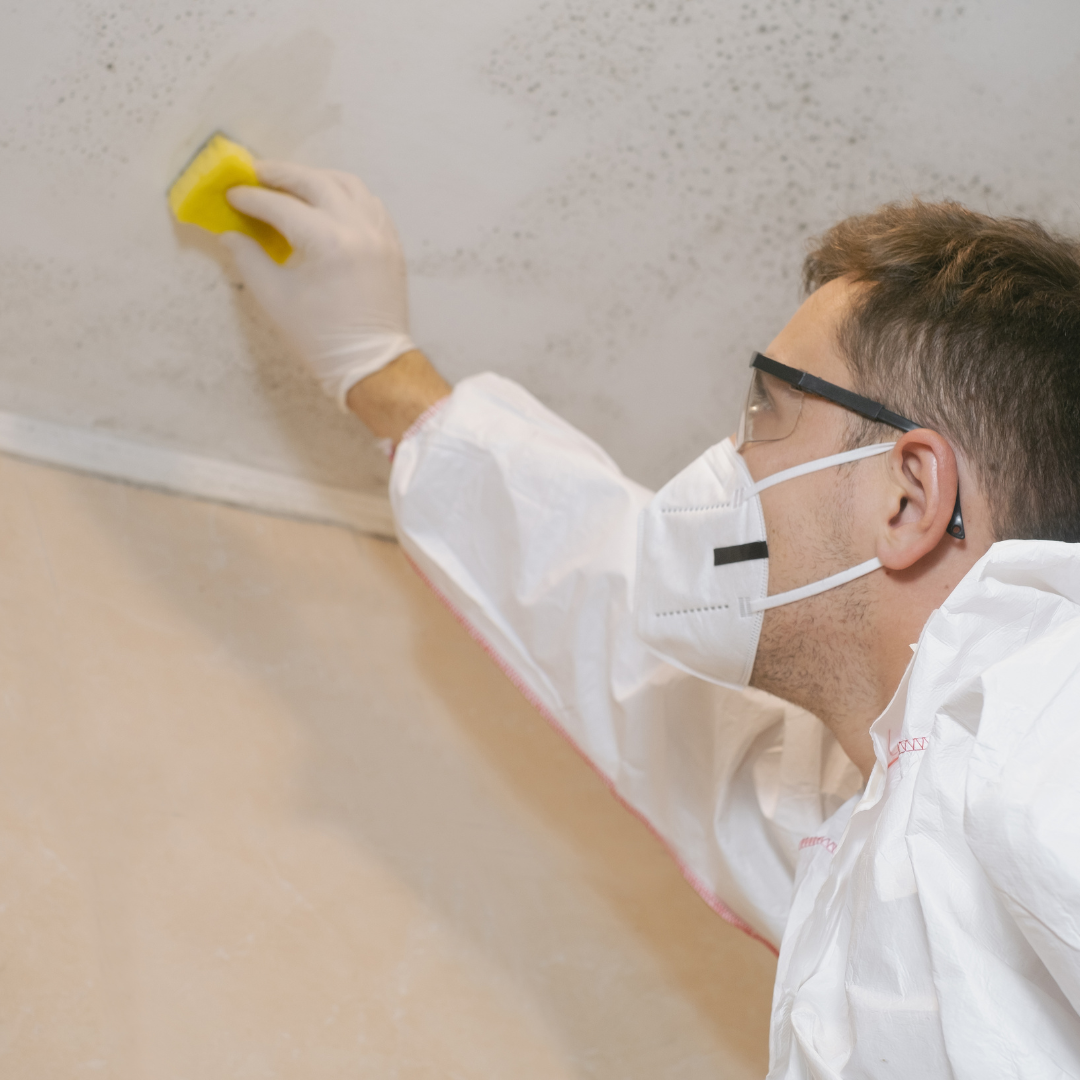 How To Prevent Damp and Mould Appearing In Your Property