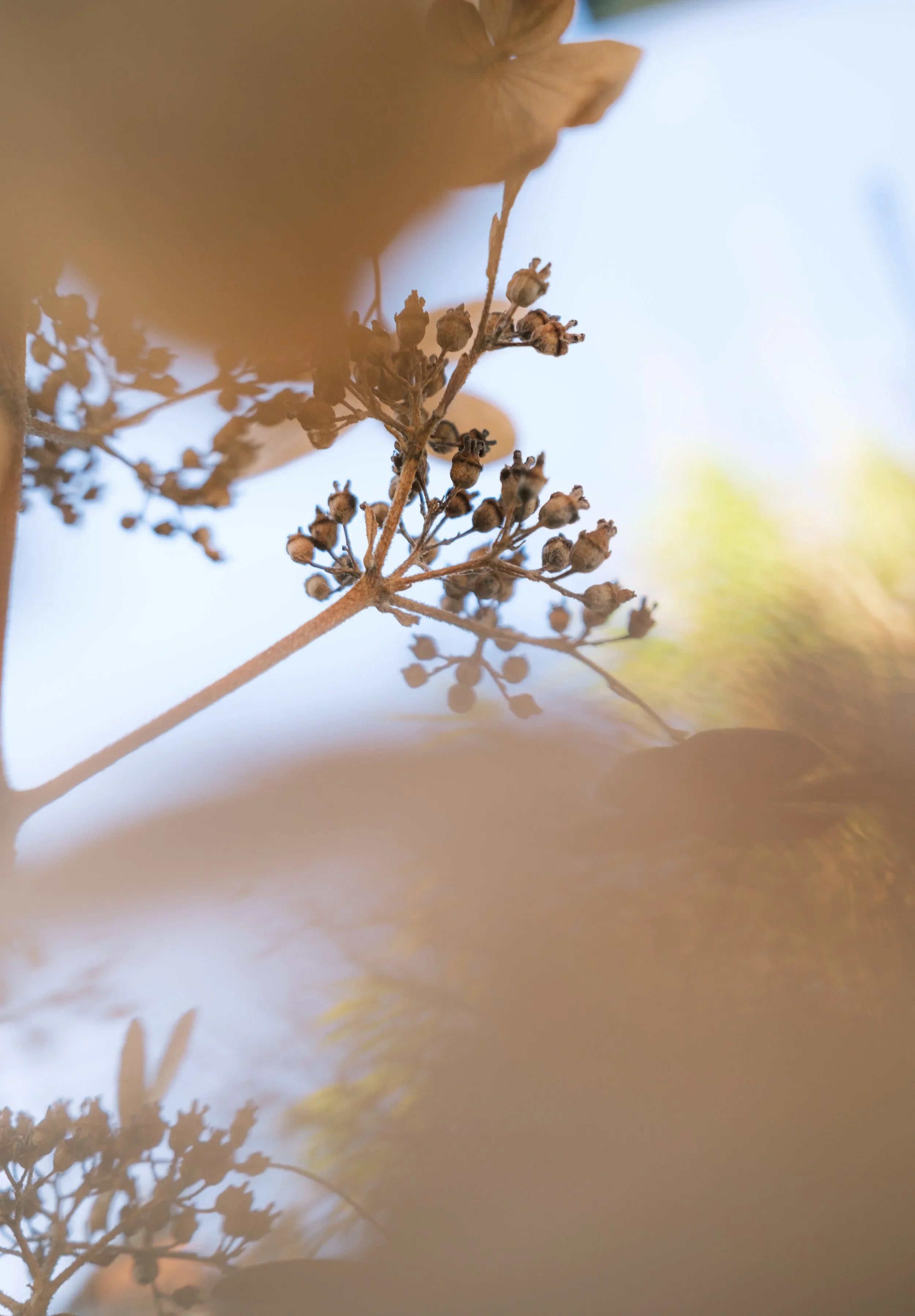 DSCF7298.webp