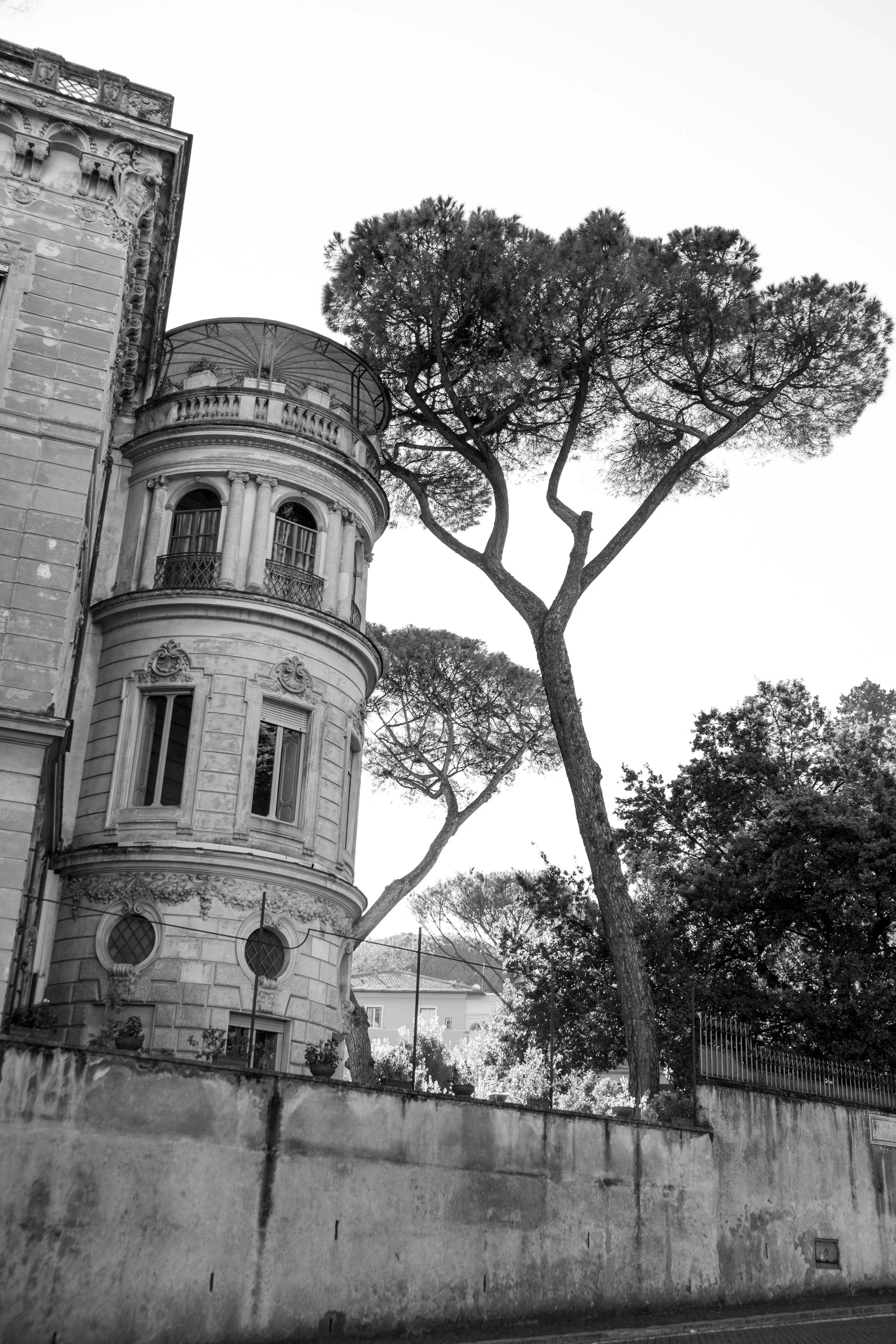 DSCF6594.webp
