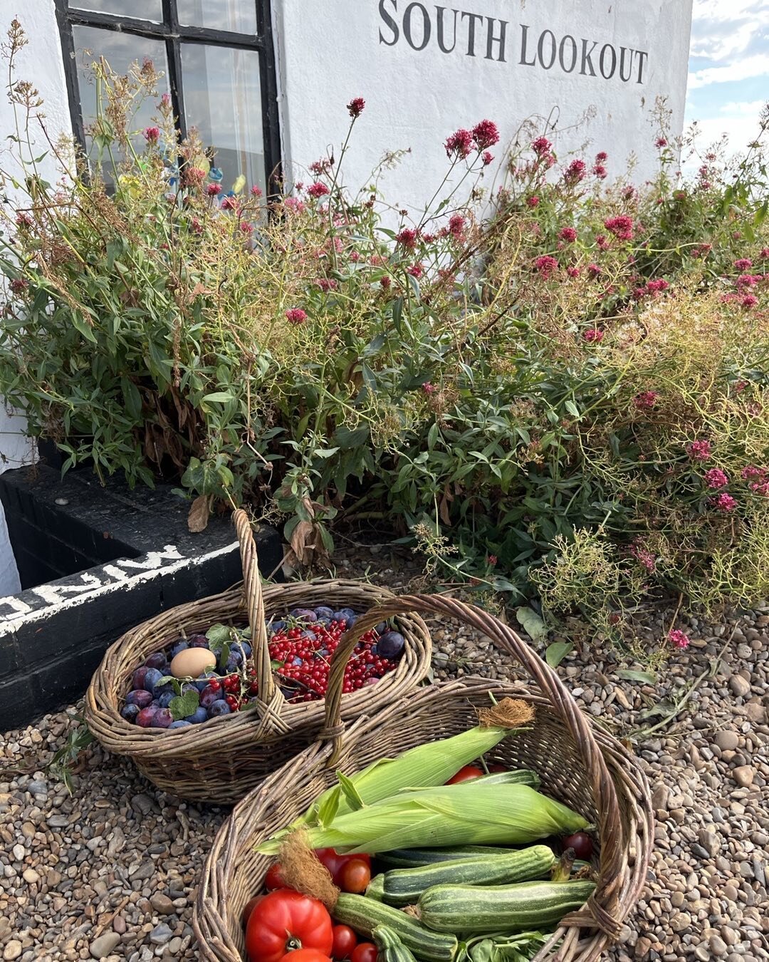 Delicious produce from David and Sue&rsquo;s garden #davidbaldry for lunch at the Aldeburgh Beach Lookout today