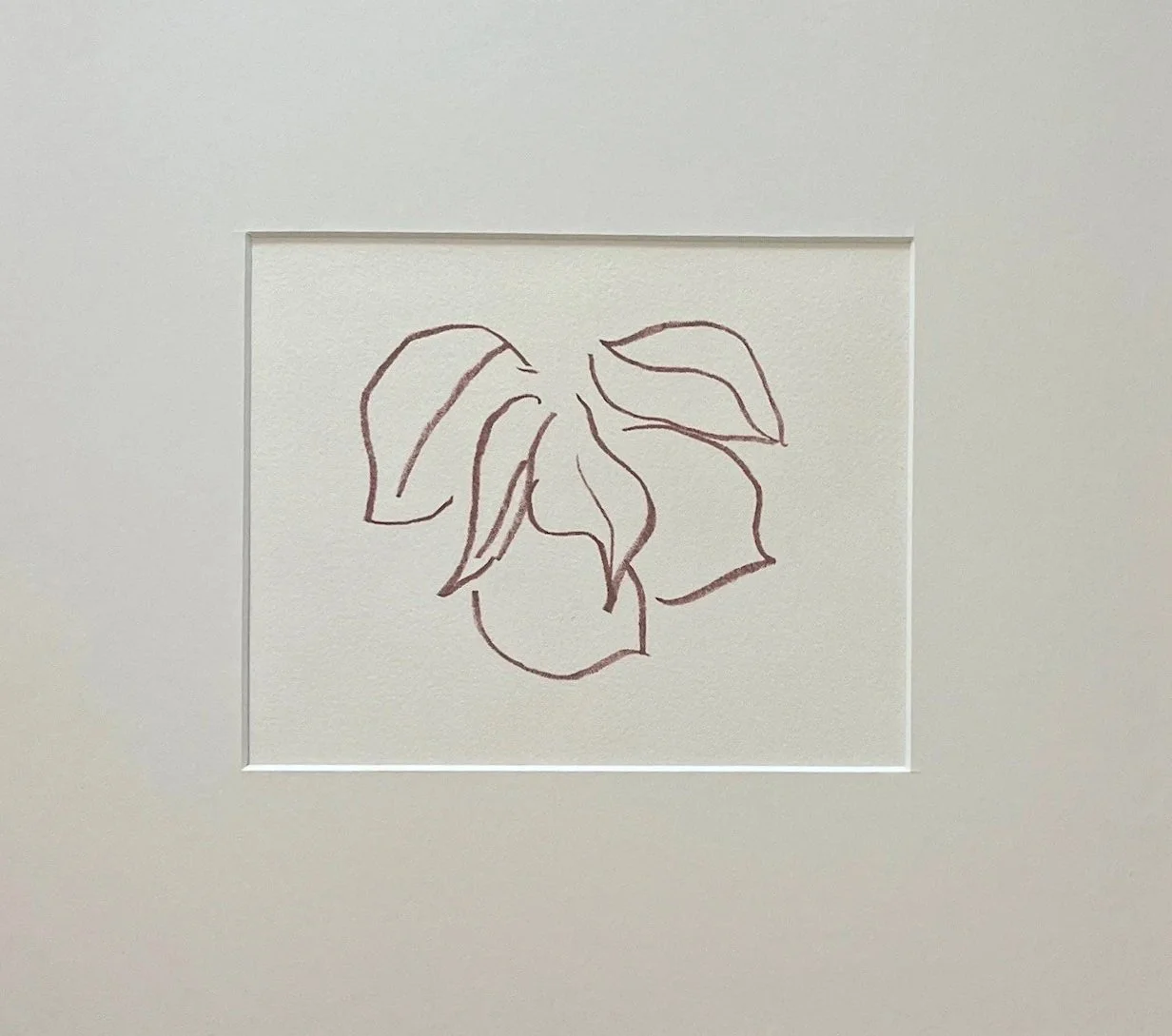 Matisse+Florilege.jpg