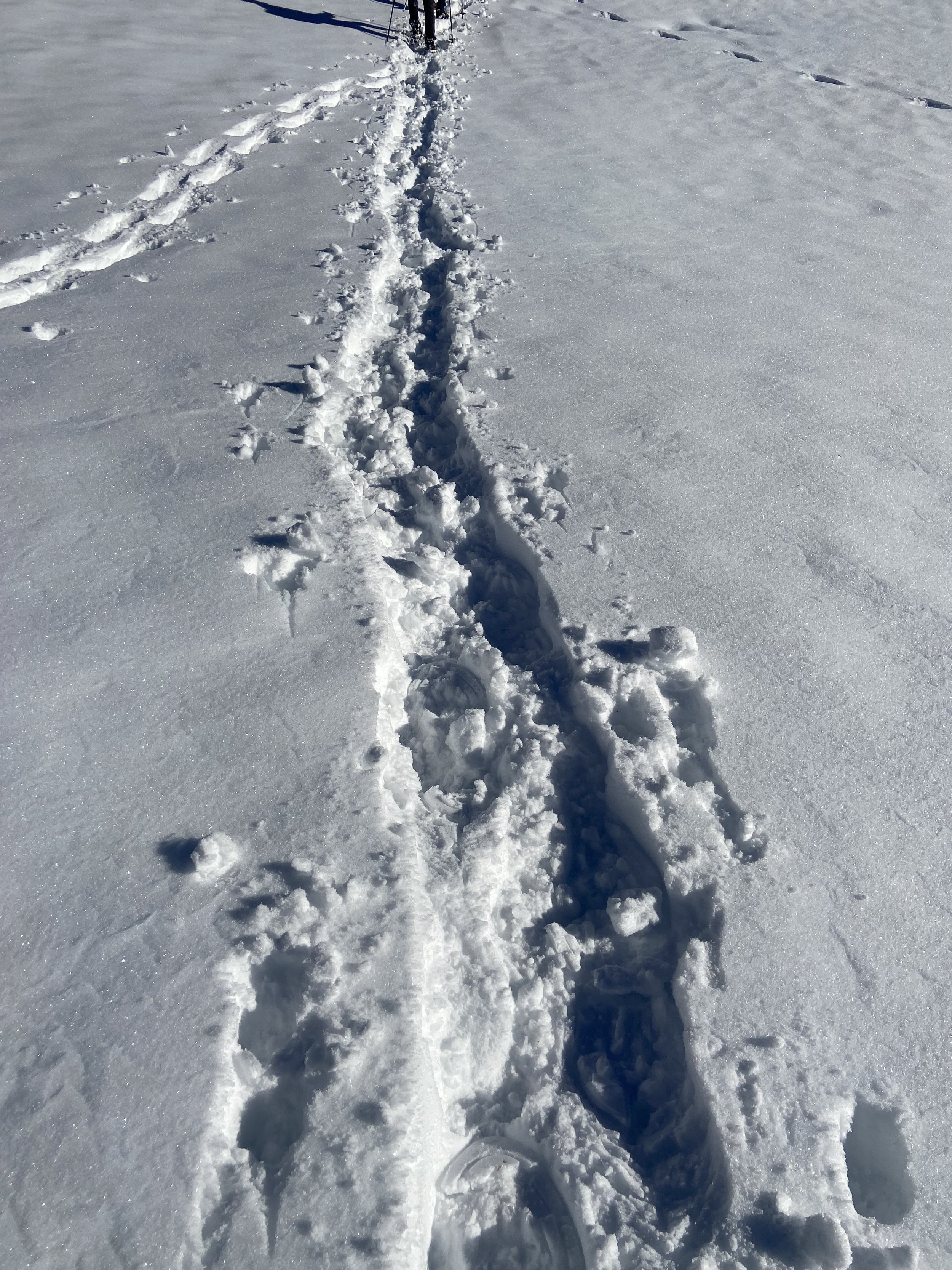 Schneeschuhwanderung Jaun